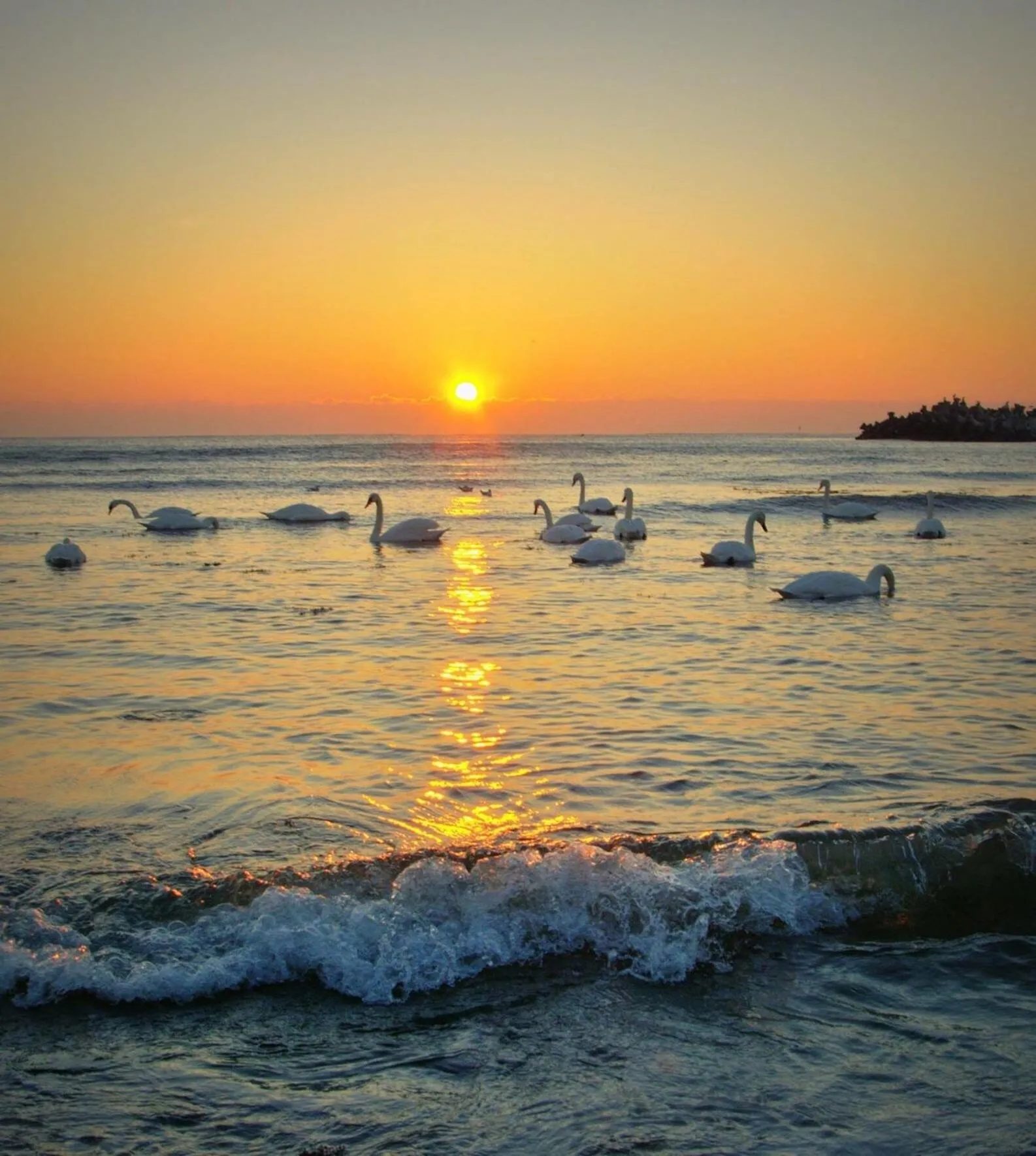 Vila Levent Mangalia