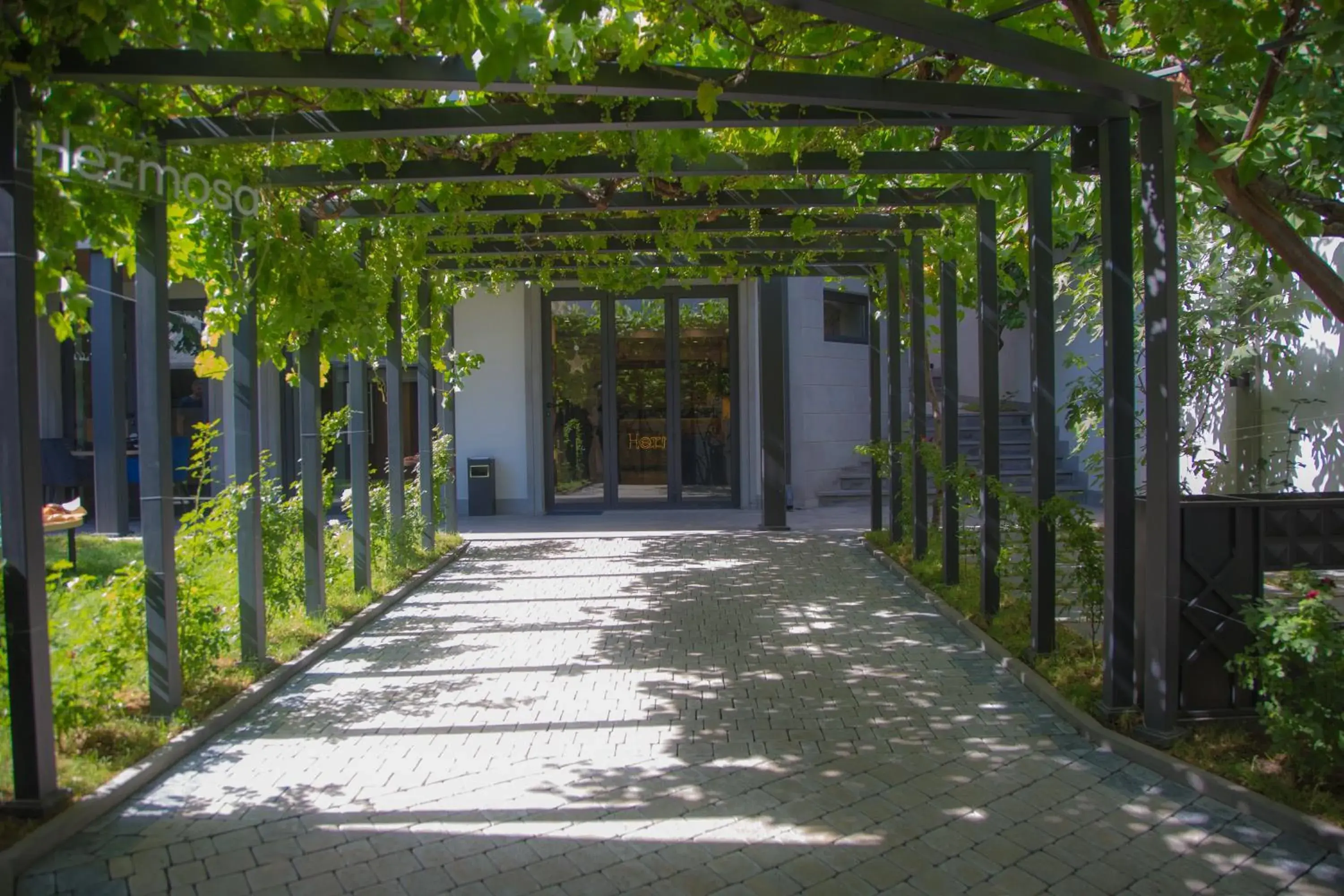 Garden view in Andor Hotel Garden view in Andor Hotel