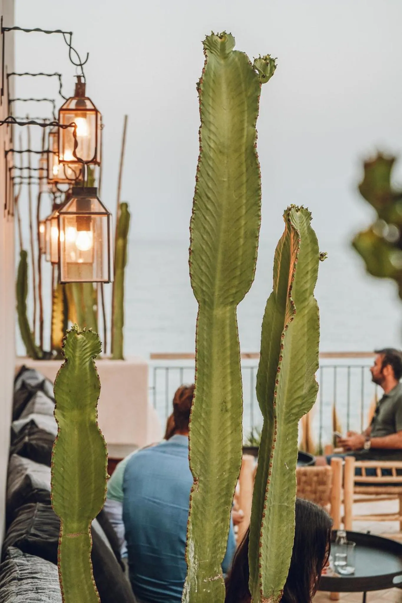Lounge or bar in Nomad Hotel - Xábia Port
