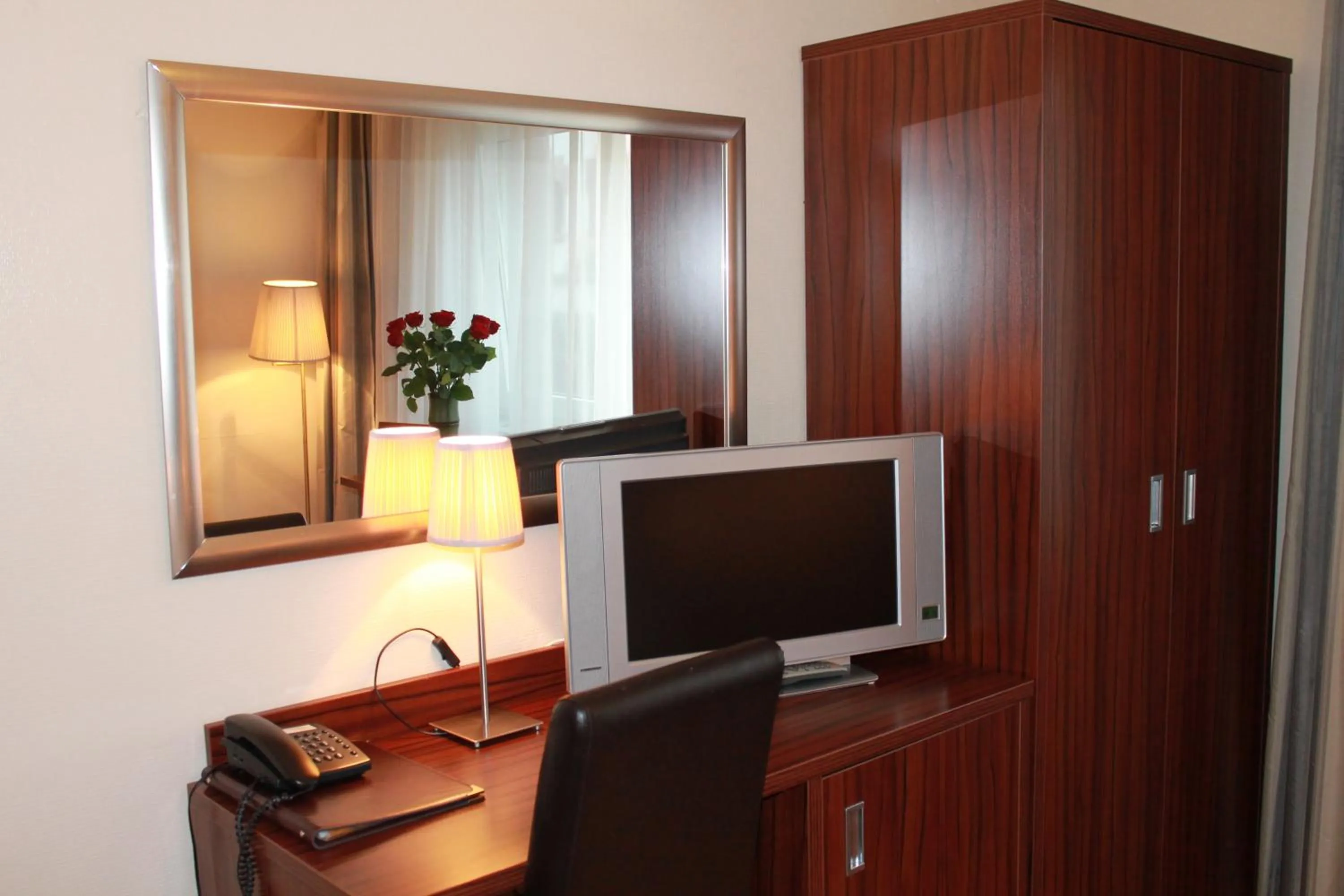 TV and multimedia in City Hotel Mercator