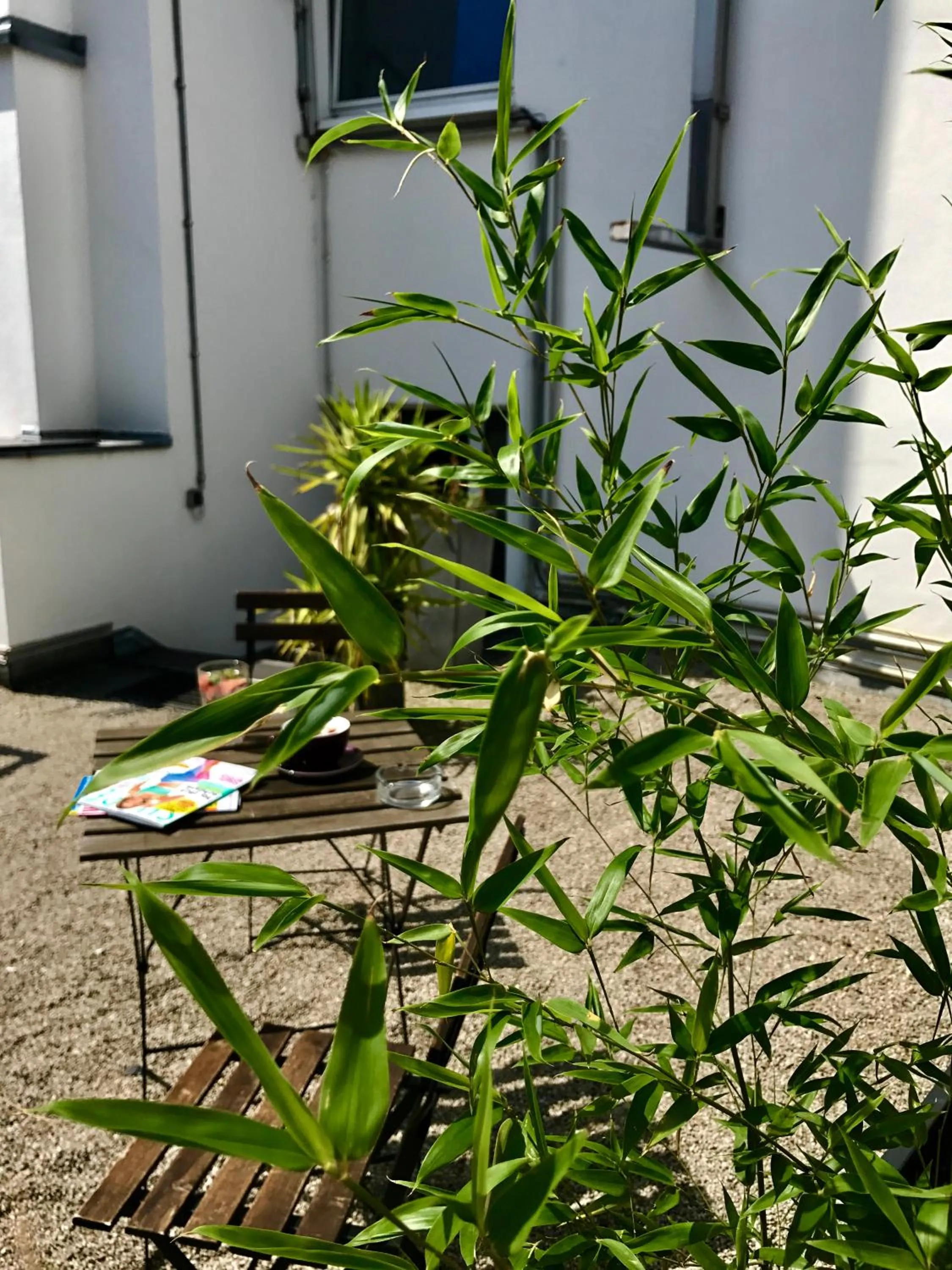 Balcony/Terrace in Mauritius Komfort Hotel in der Altstadt