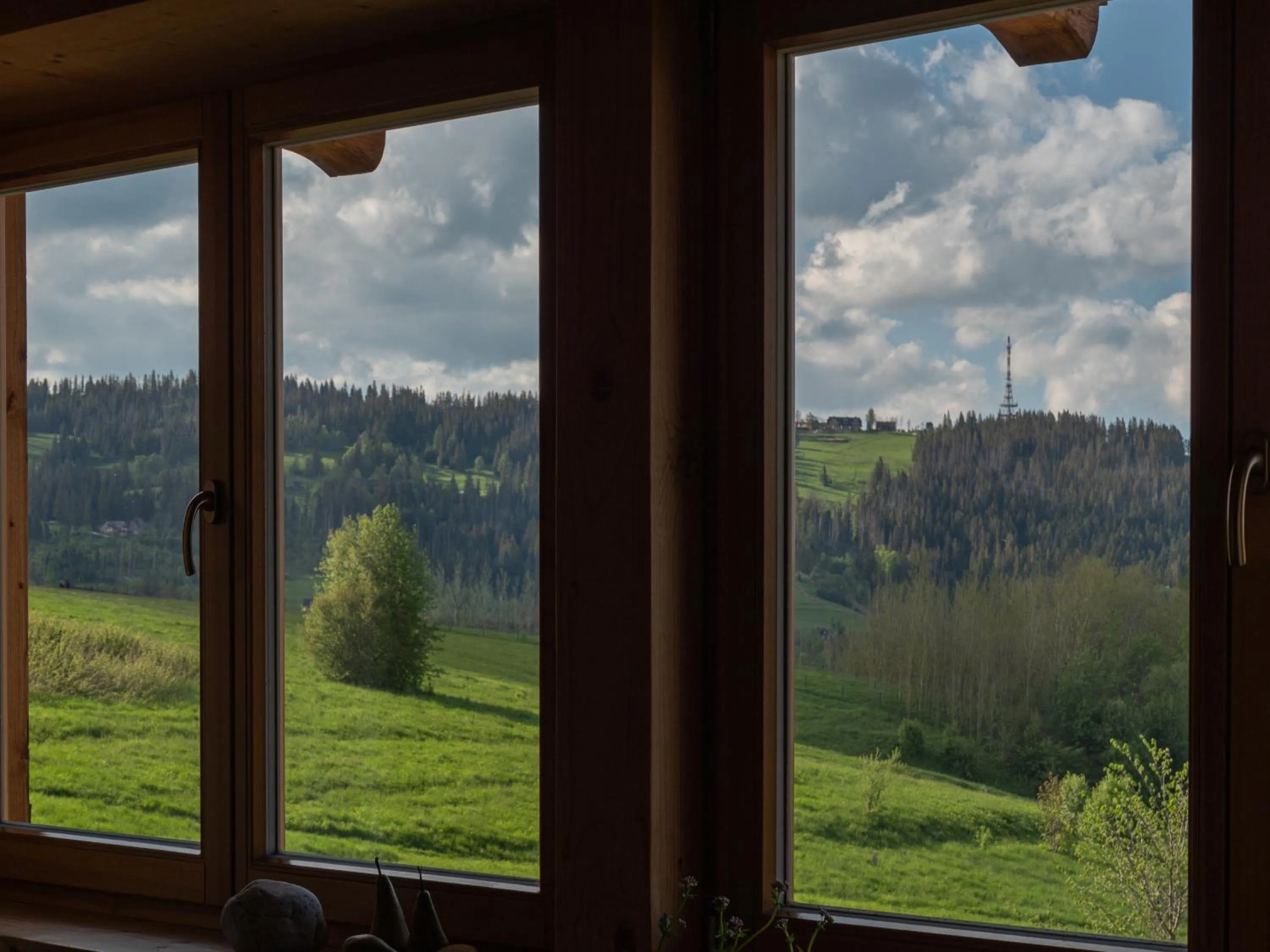 View (from property/room) in Willa Mirwa