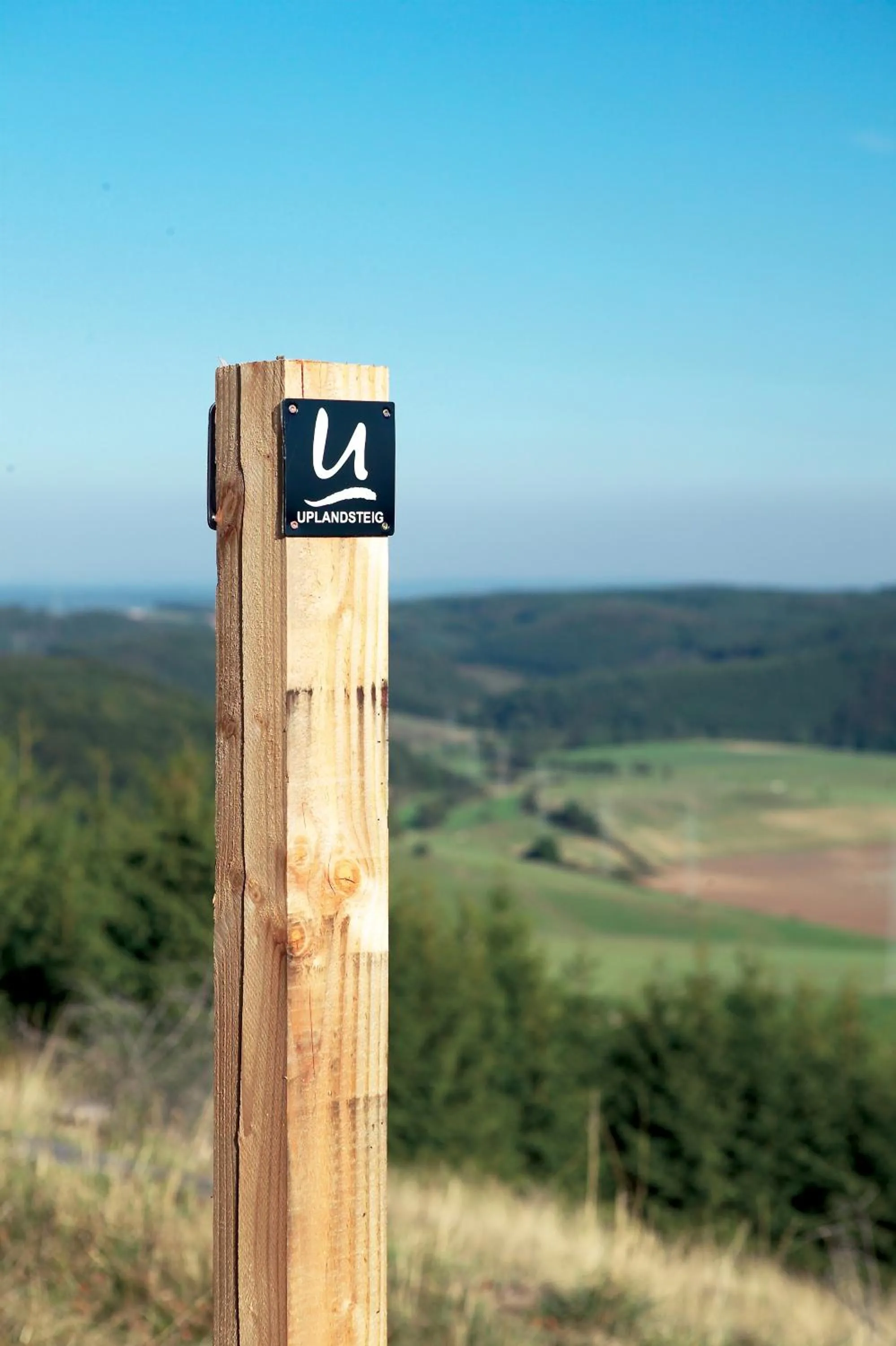 Property logo or sign in Hotel Berghof