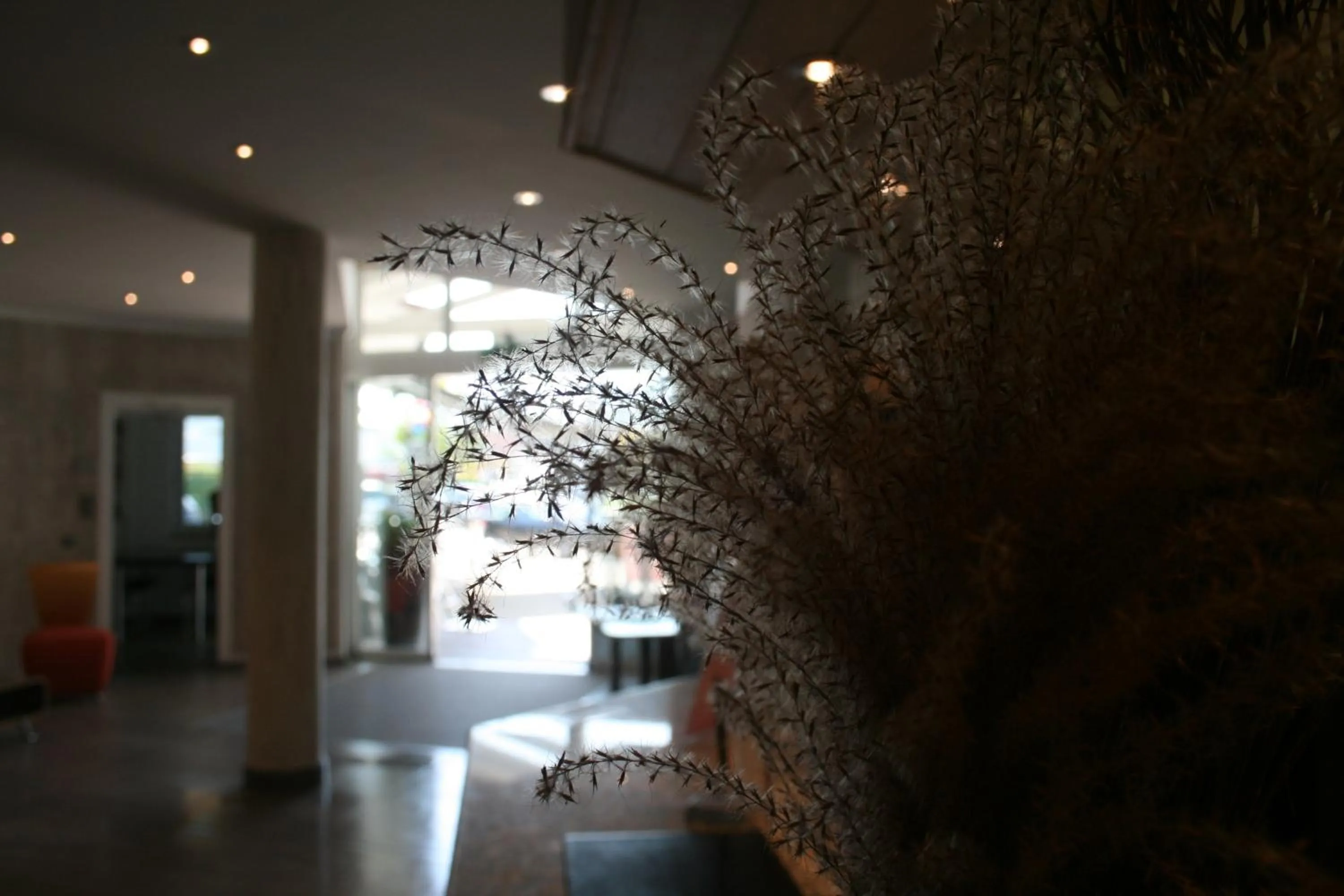 Lobby or reception in Hotel Bavaria