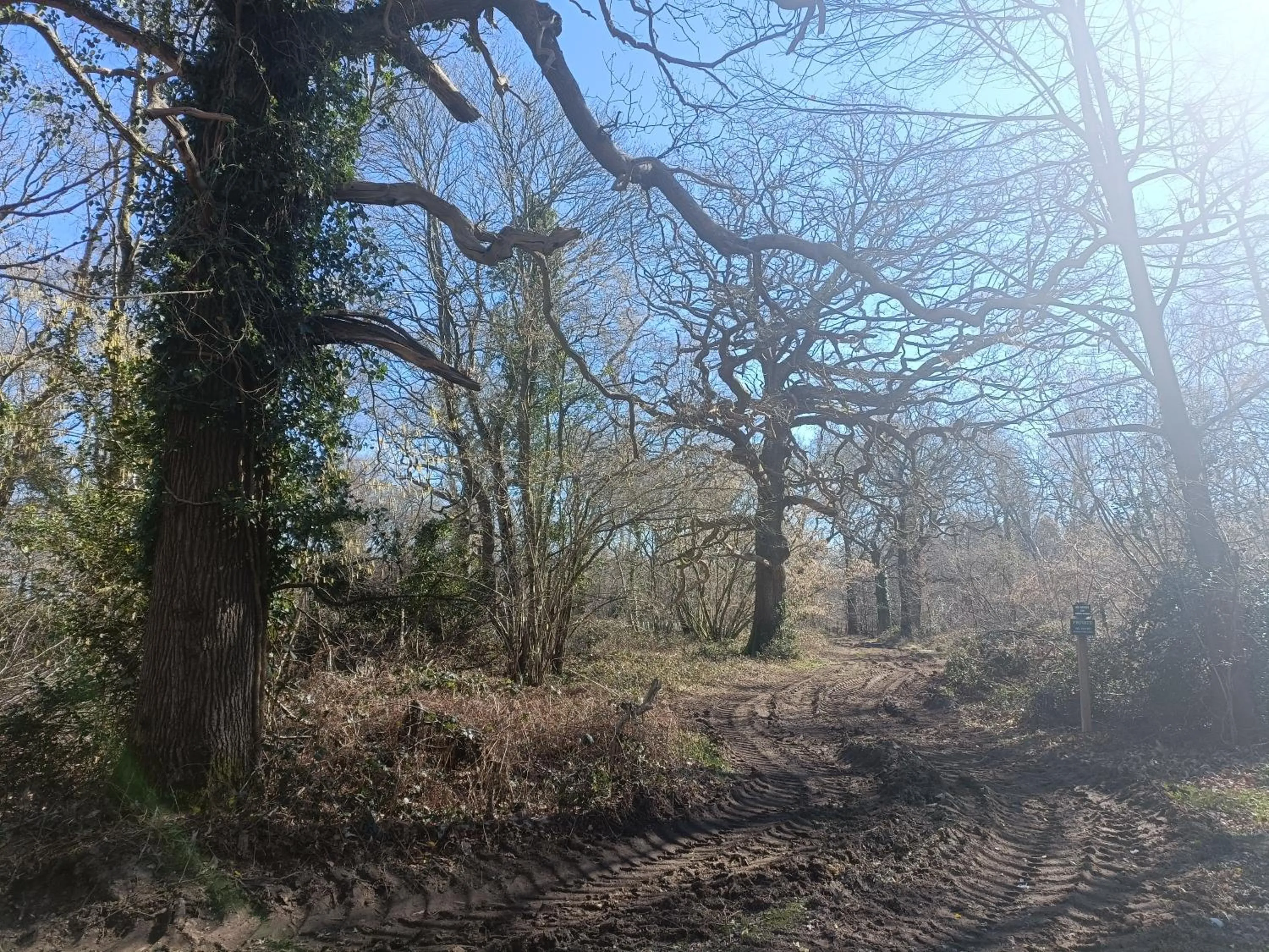 Natural landscape in Keepers Retreat