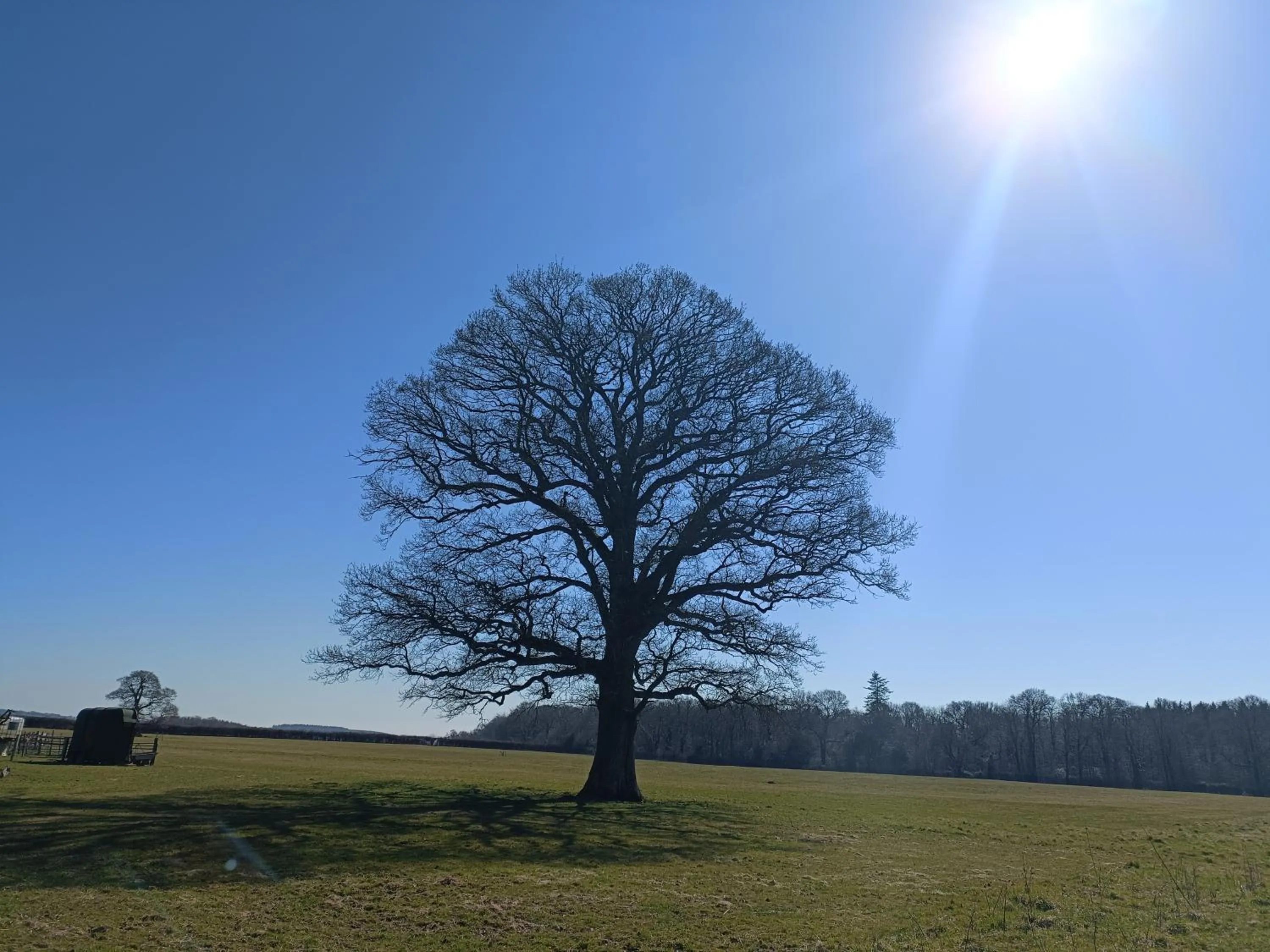 Natural landscape in Keepers Retreat