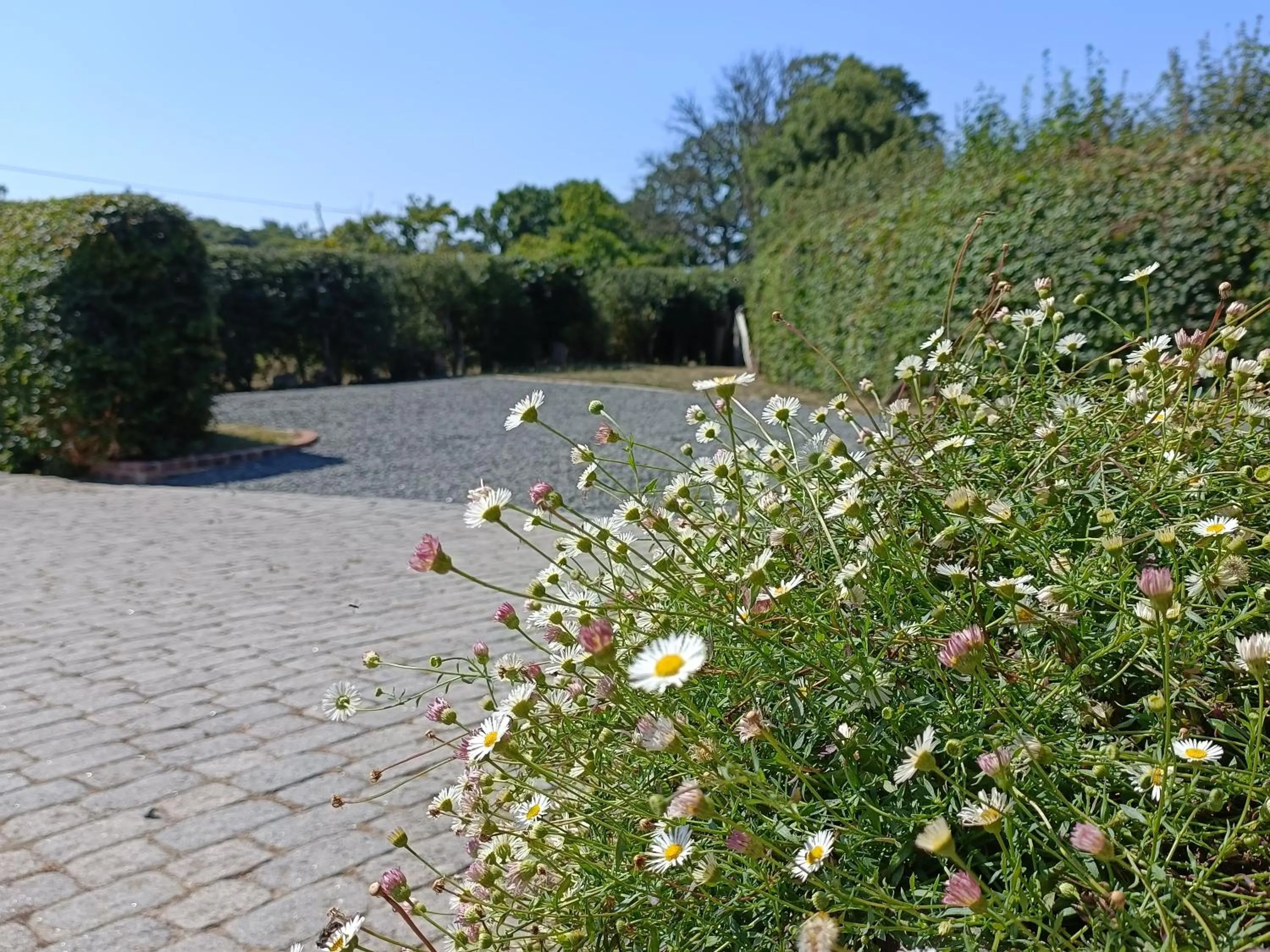 Natural landscape in Keepers Retreat