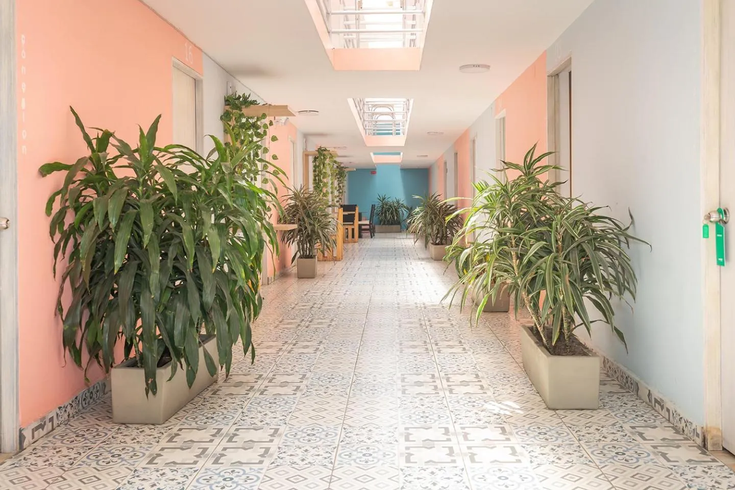 Area and facilities in Ayenda Malaki