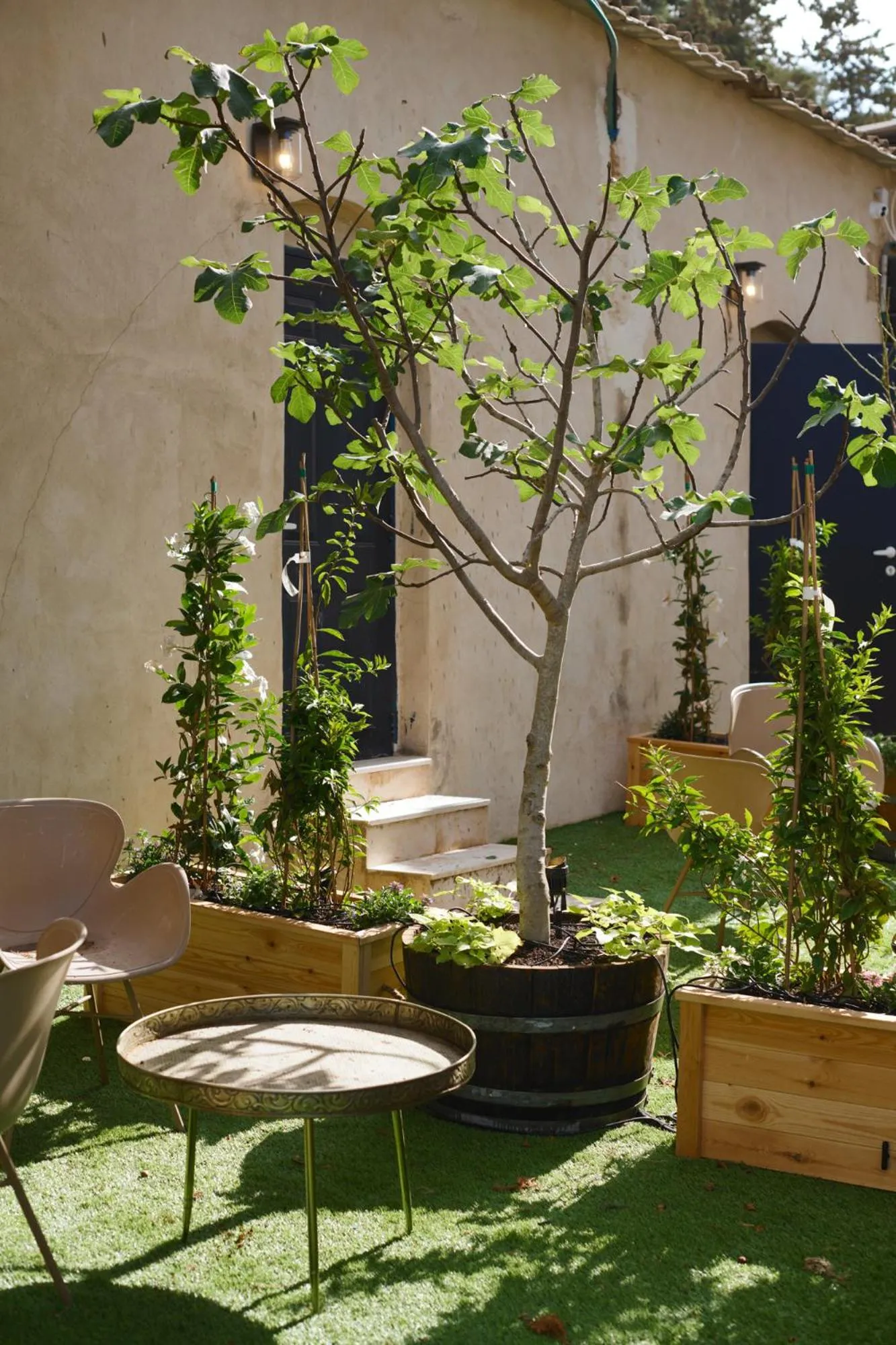 Patio in Tel-Aviv LALA Boutique Hotel