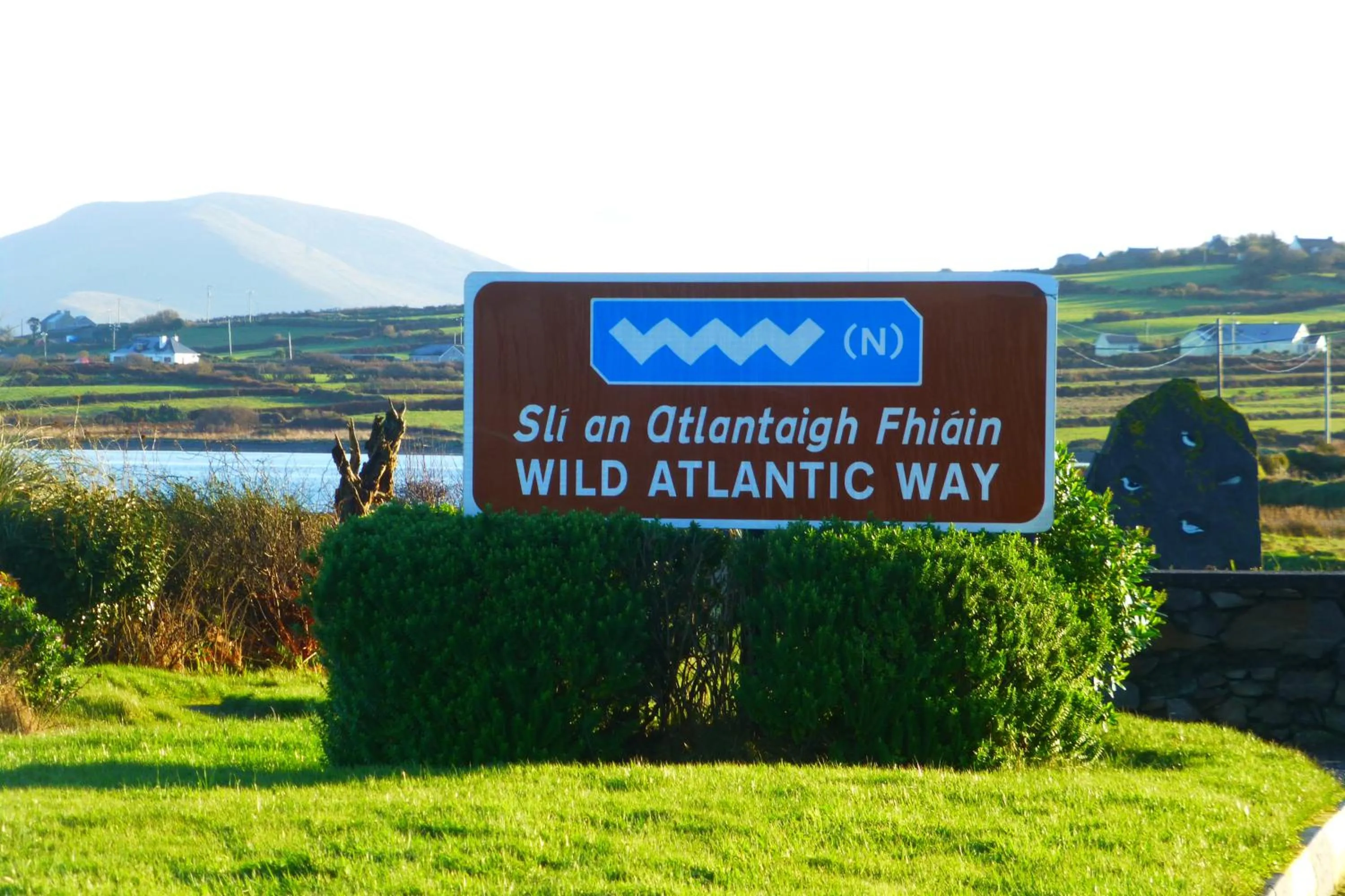 Logo/Certificate/Sign in Seagull Cottage B&B