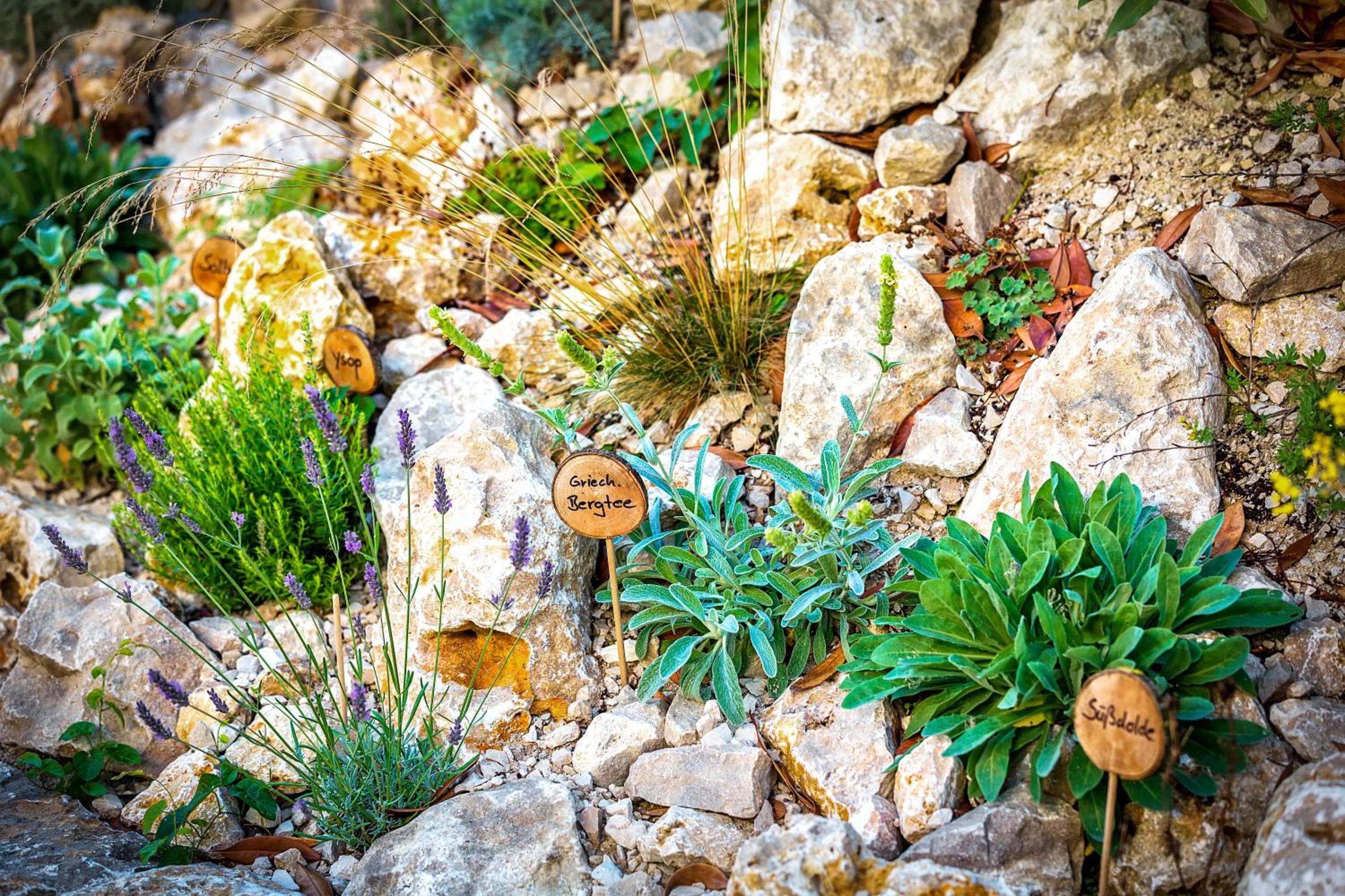 Garden view in Kur- und Wellnesshotel Förch