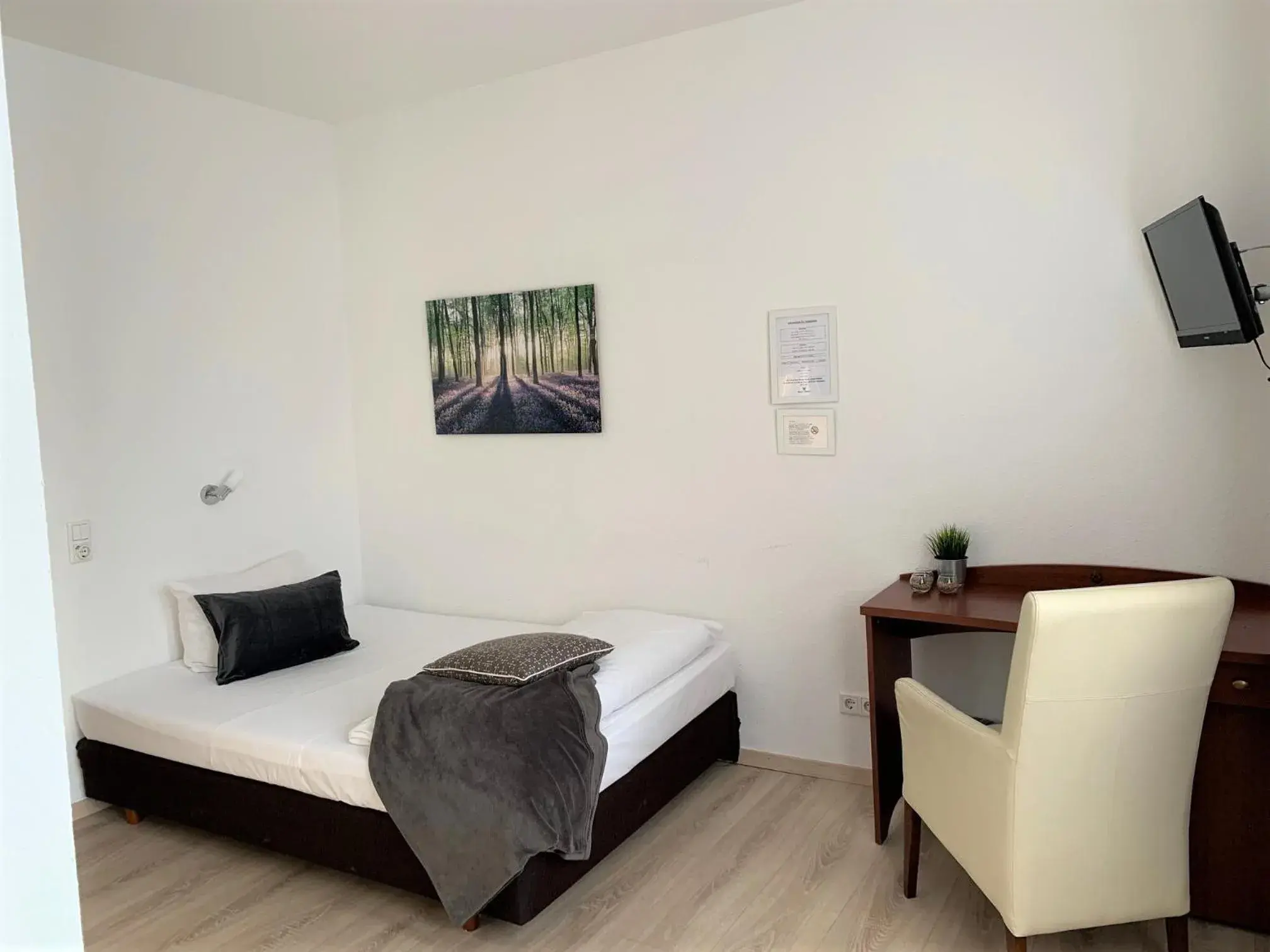 Double Room in Hotel zum Adler Double Room in Hotel zum Adler