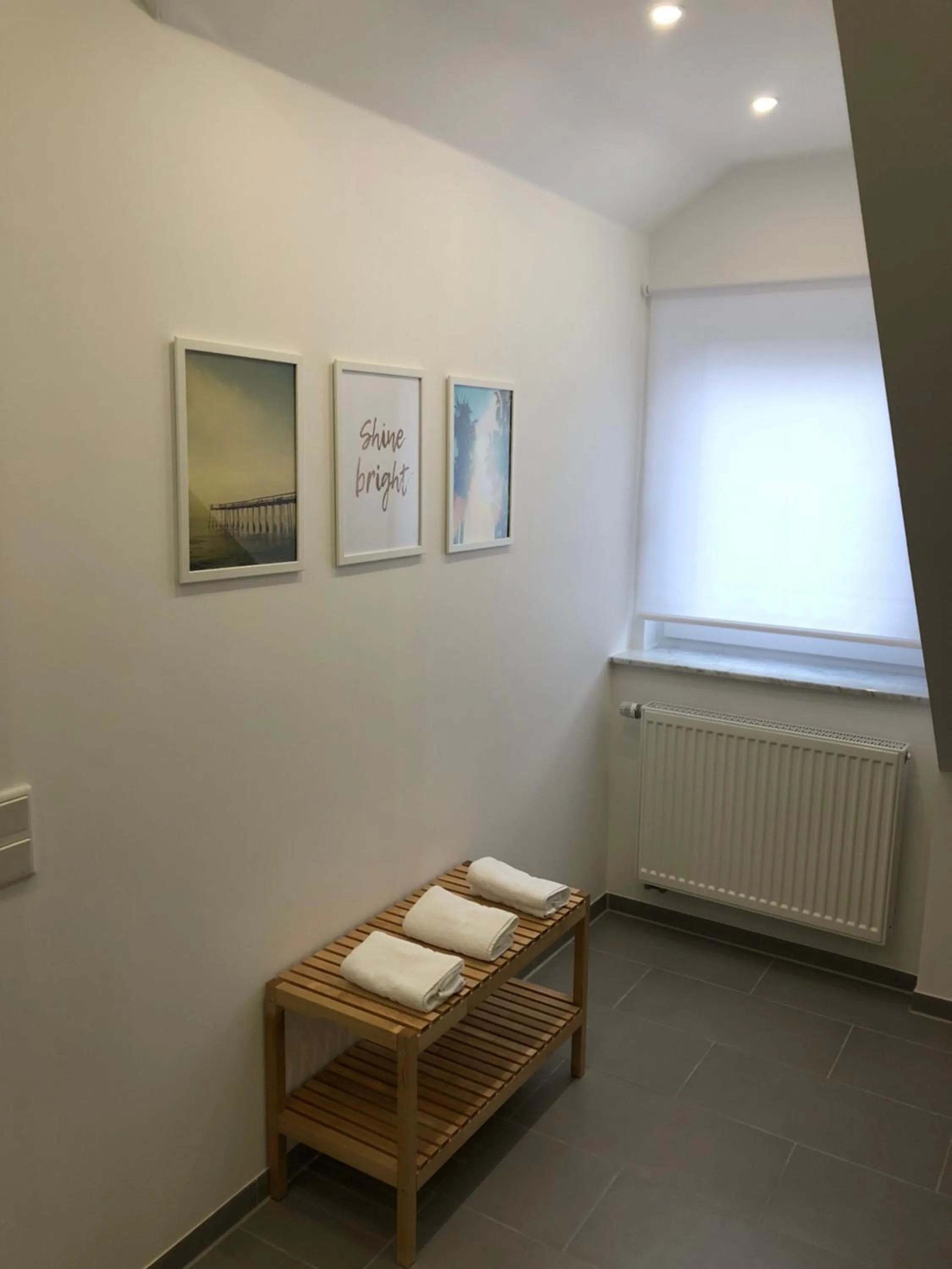 Shower in Hotel zum Adler