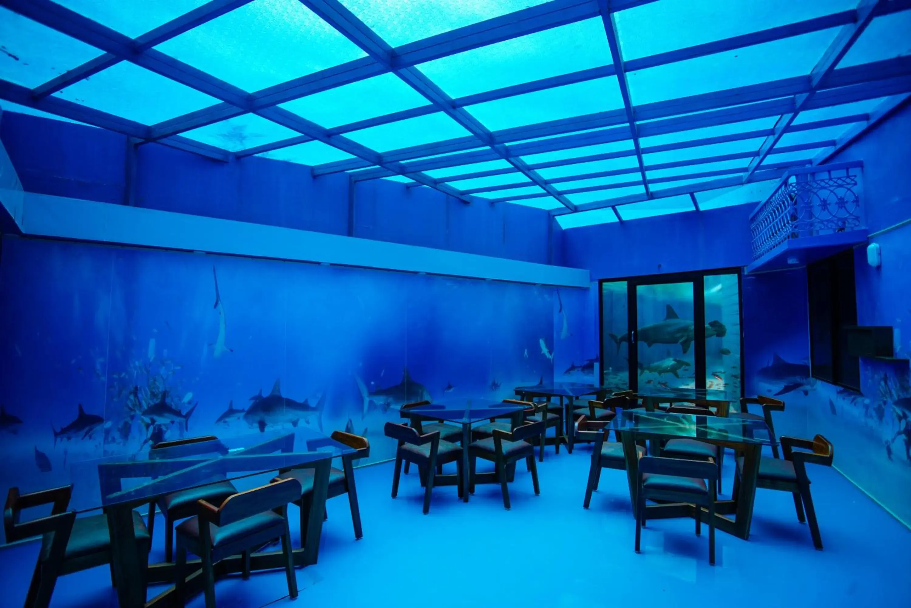 Swimming pool in Builda Park inn Swimming pool in Builda Park inn