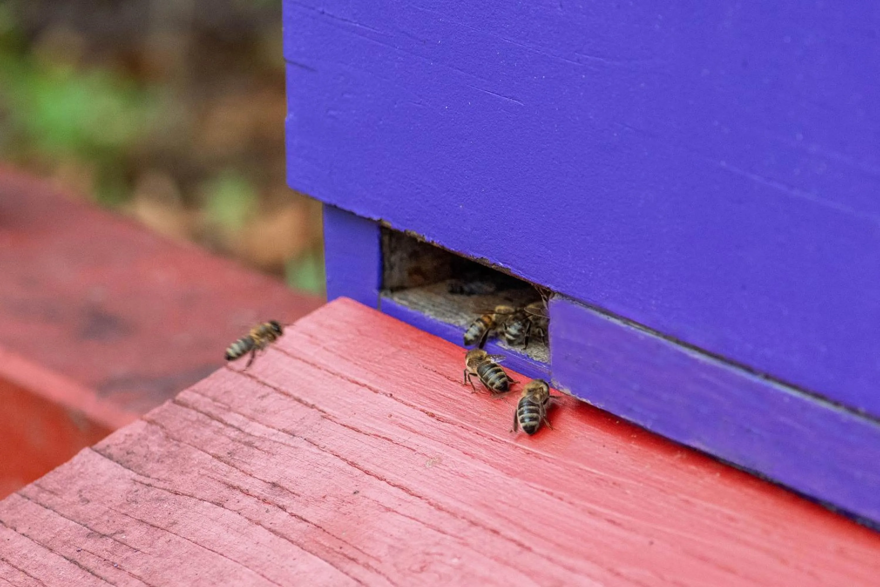 Other in Best Western Premier Airporthotel Berlin