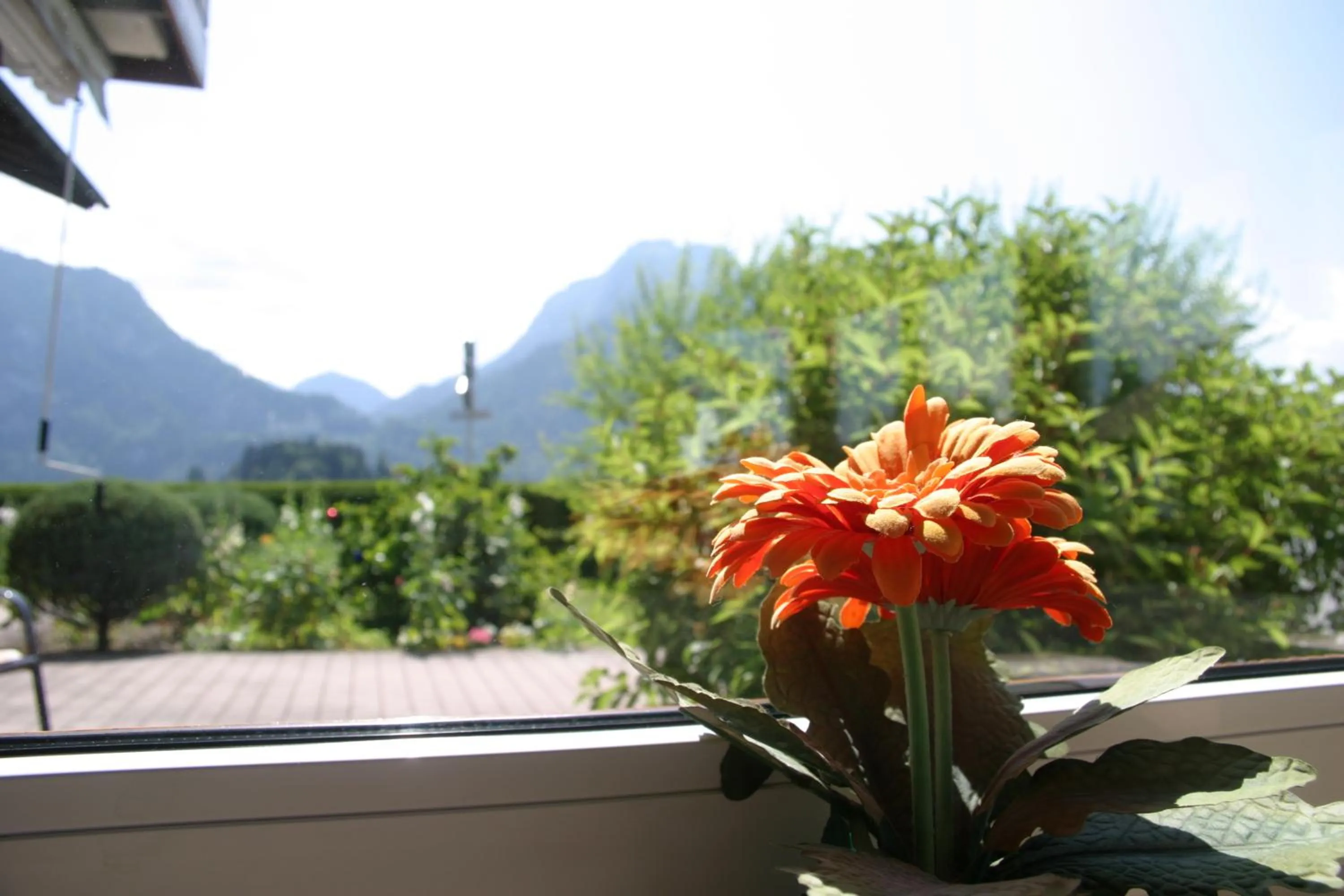 Area and facilities in Gästehaus Elisabeth