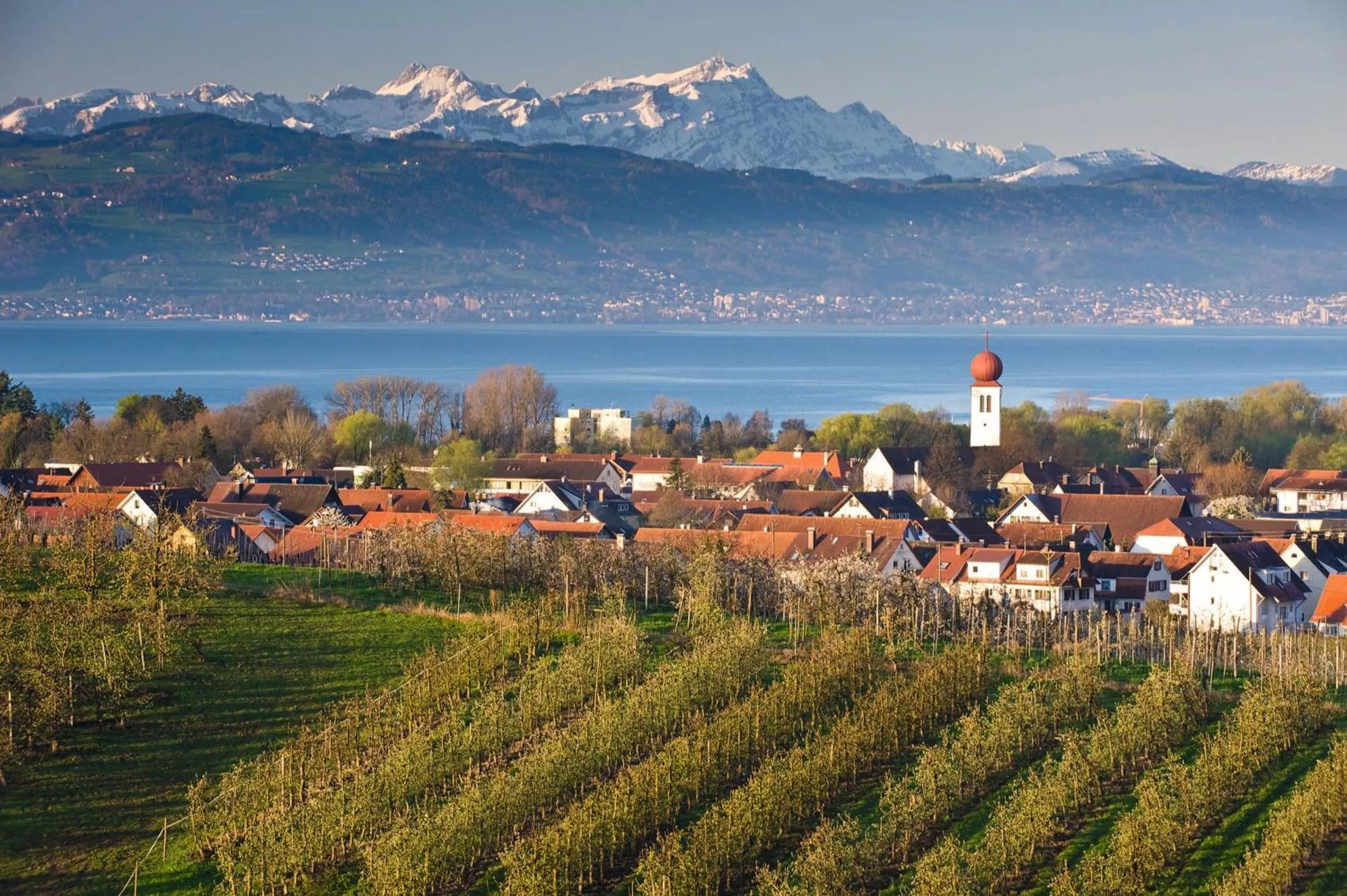 Area and facilities in Boutique Hotel Friesinger