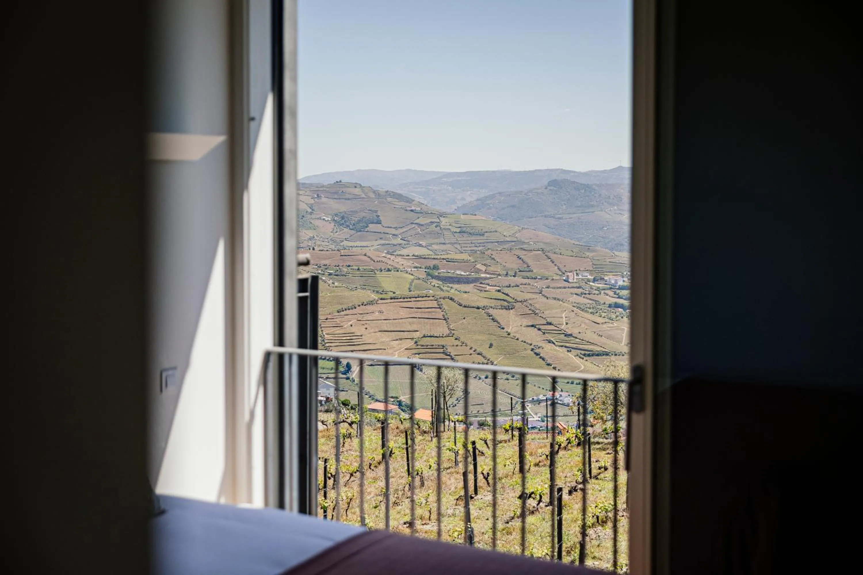 Natural landscape in Quinta de Santa Cruz - Douro Land