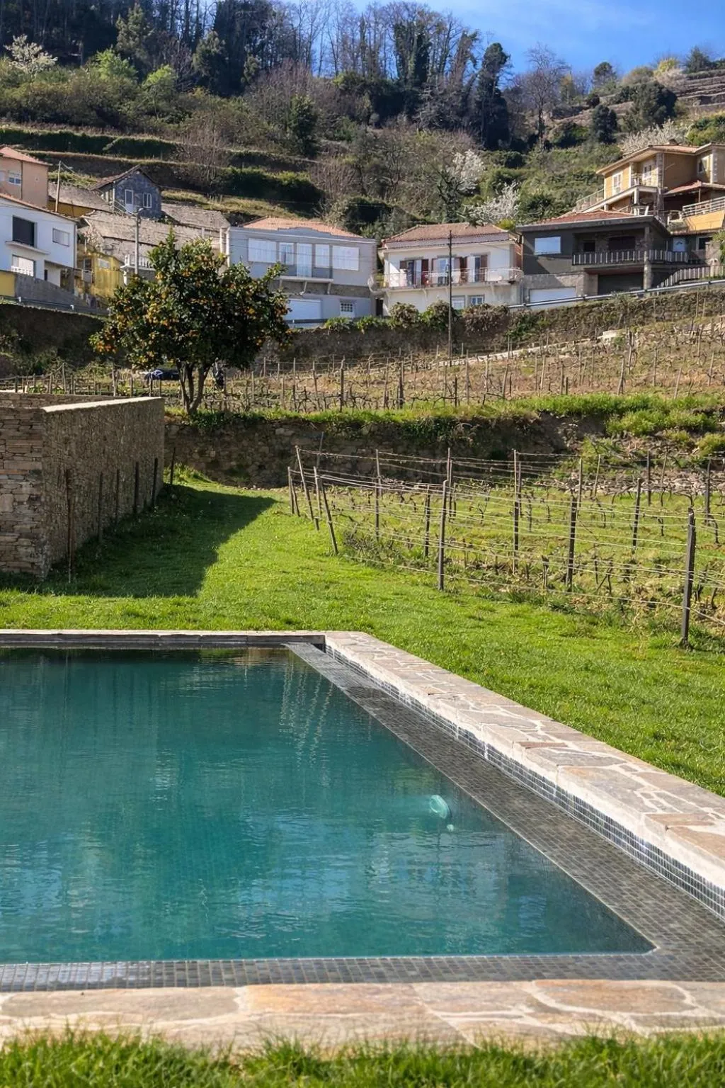 Pool view in Quinta de Santa Cruz - Douro Land