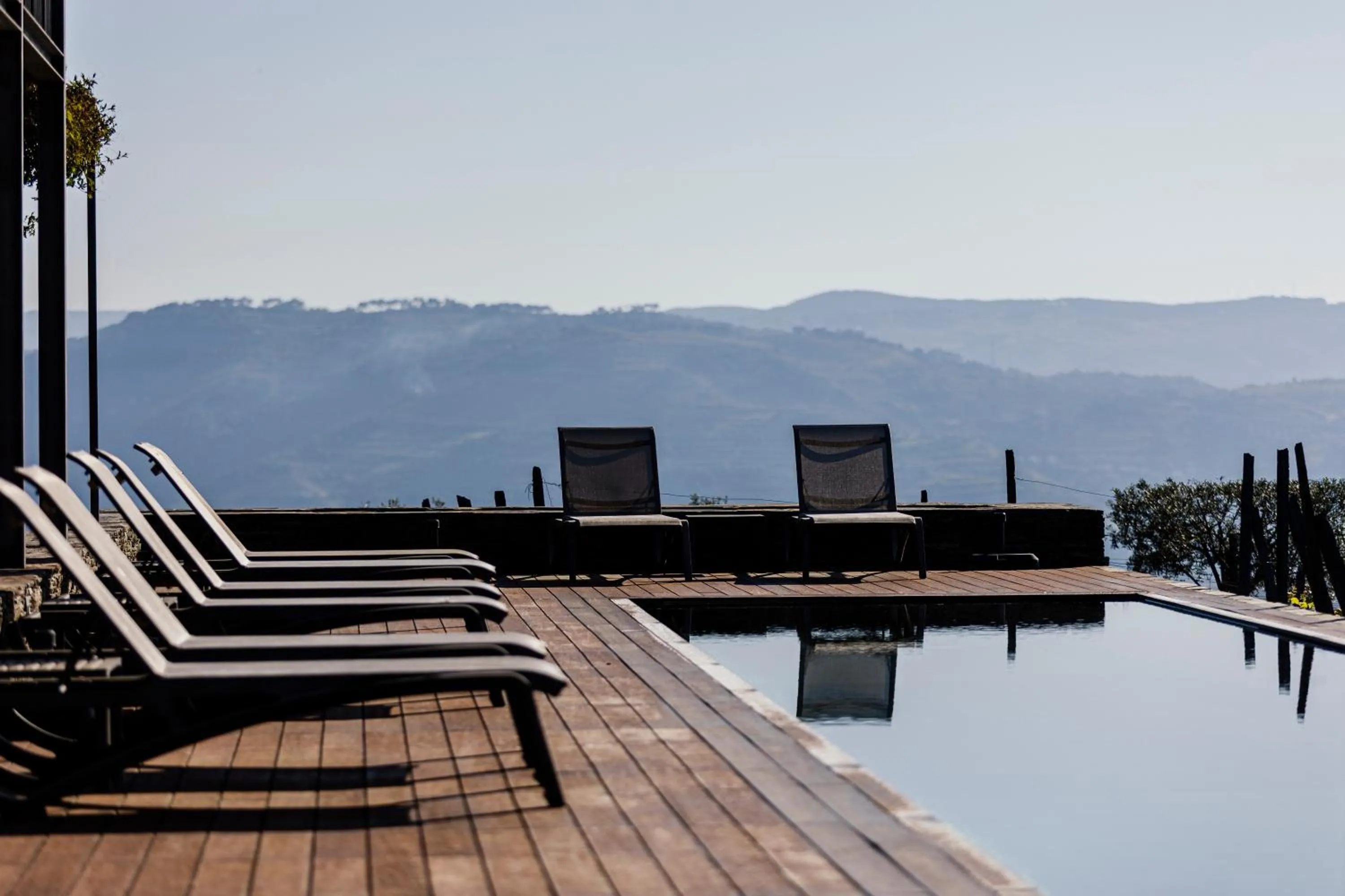 Day in Quinta de Santa Cruz - Douro Land