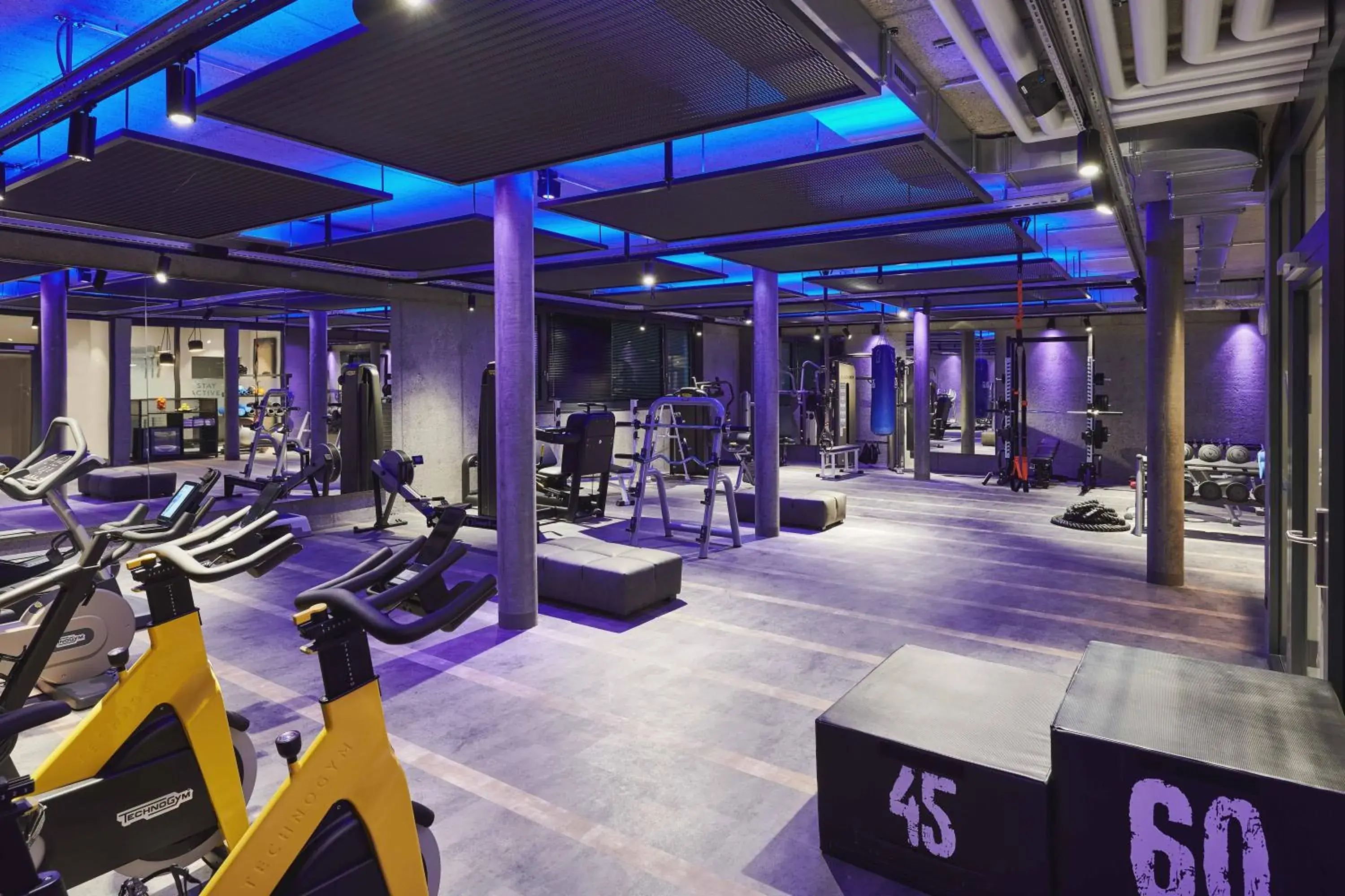 Fitness centre/facilities in SCHLOSS Zermatt - CBD & Adaptogenic Spa and Sport Hotel Fitness centre/facilities in SCHLOSS Zermatt - CBD & Adaptogenic Spa and Sport Hotel