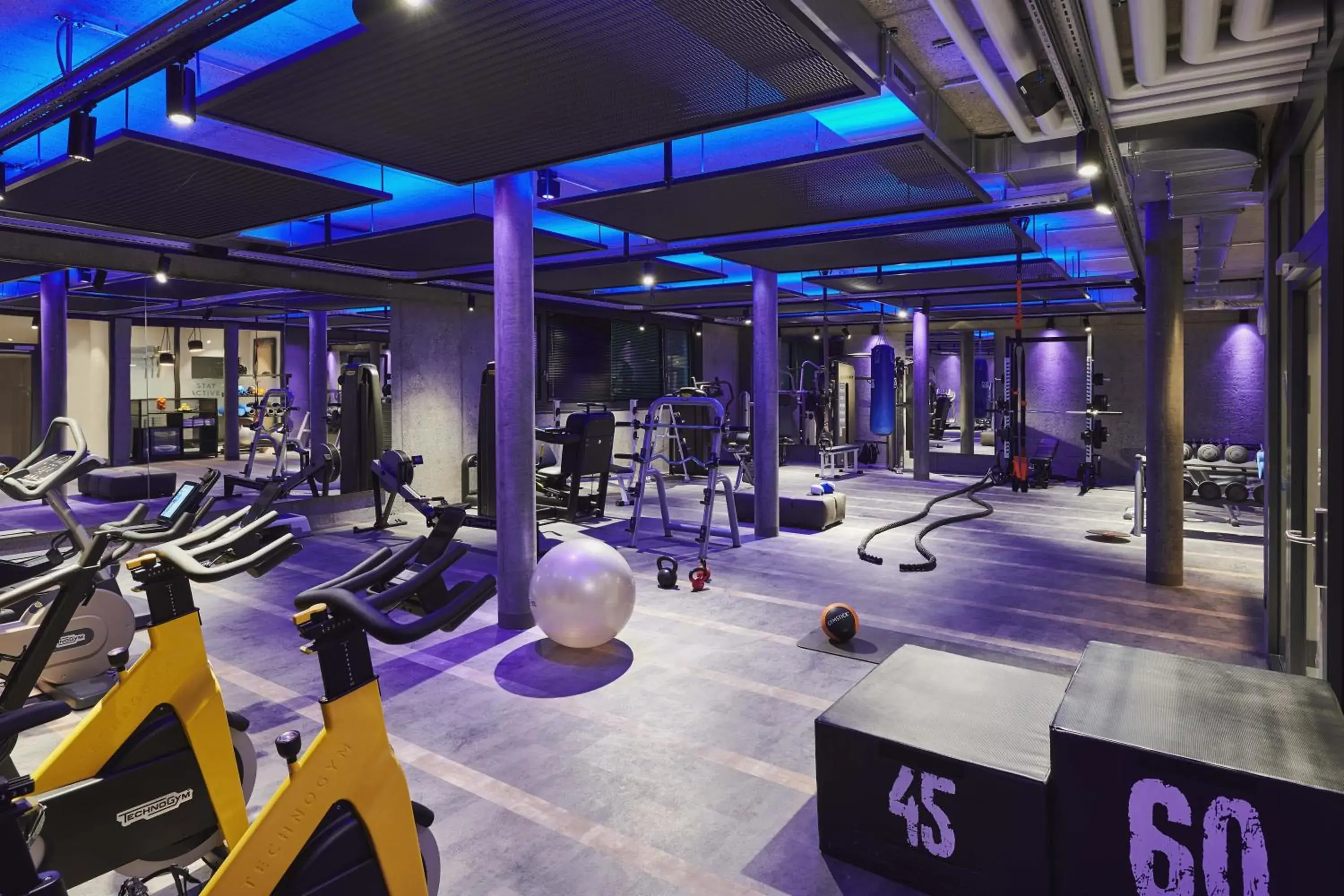 Fitness centre/facilities in SCHLOSS Zermatt - CBD & Adaptogenic Spa and Sport Hotel Fitness centre/facilities in SCHLOSS Zermatt - CBD & Adaptogenic Spa and Sport Hotel