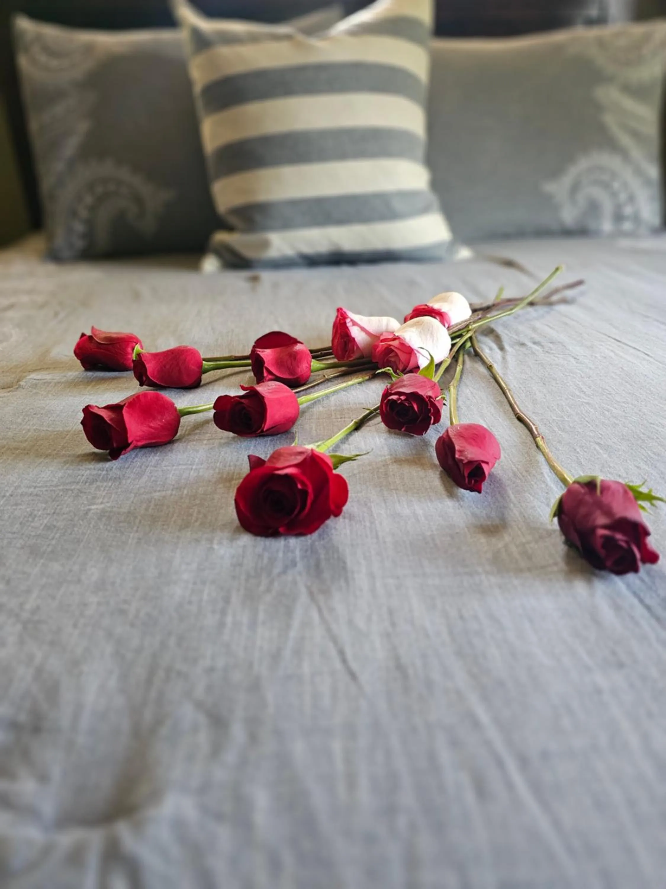 Other, Bed in Hilltop Manor B&B