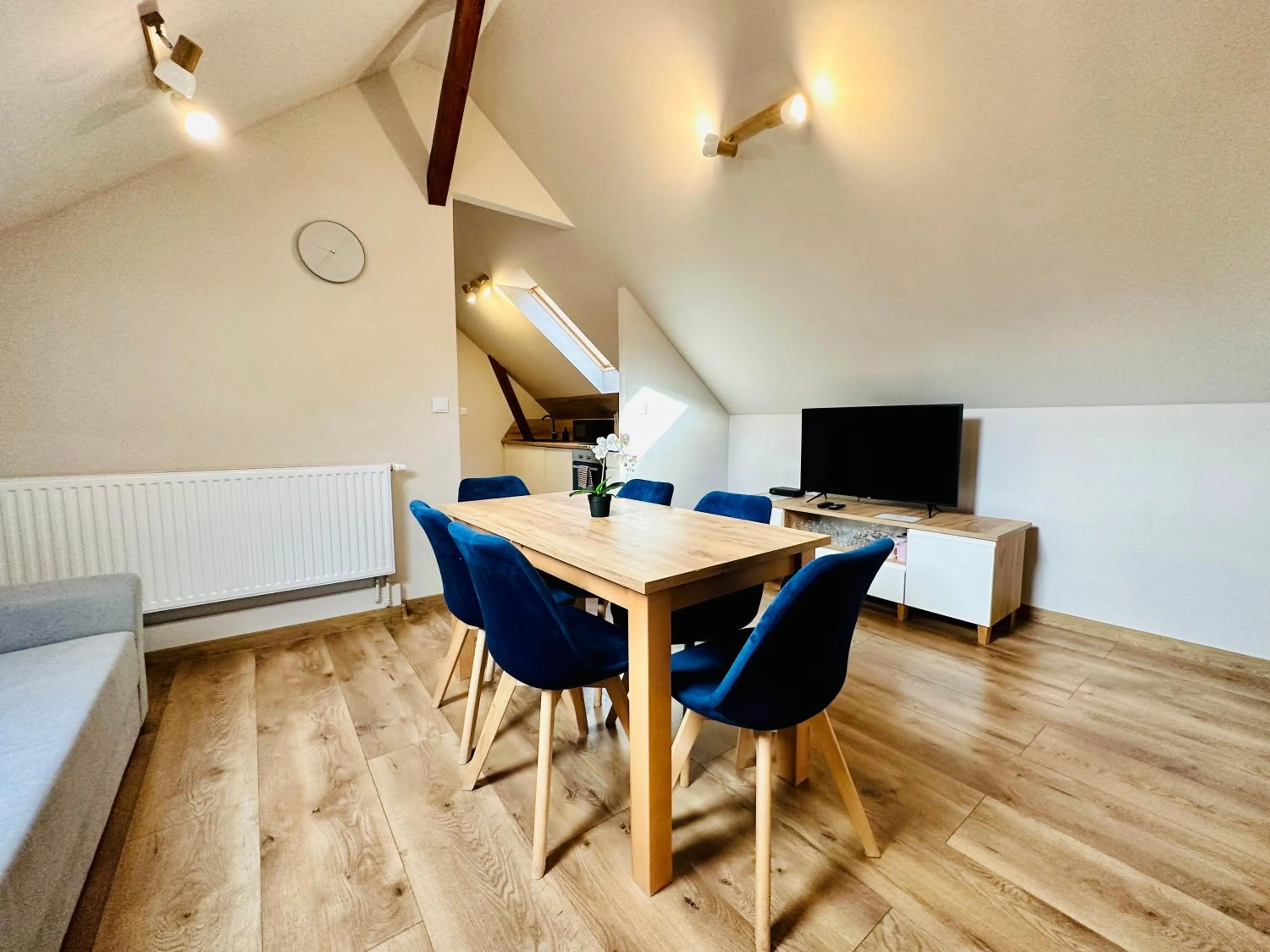 TV and multimedia in Apartamenty Pruskie