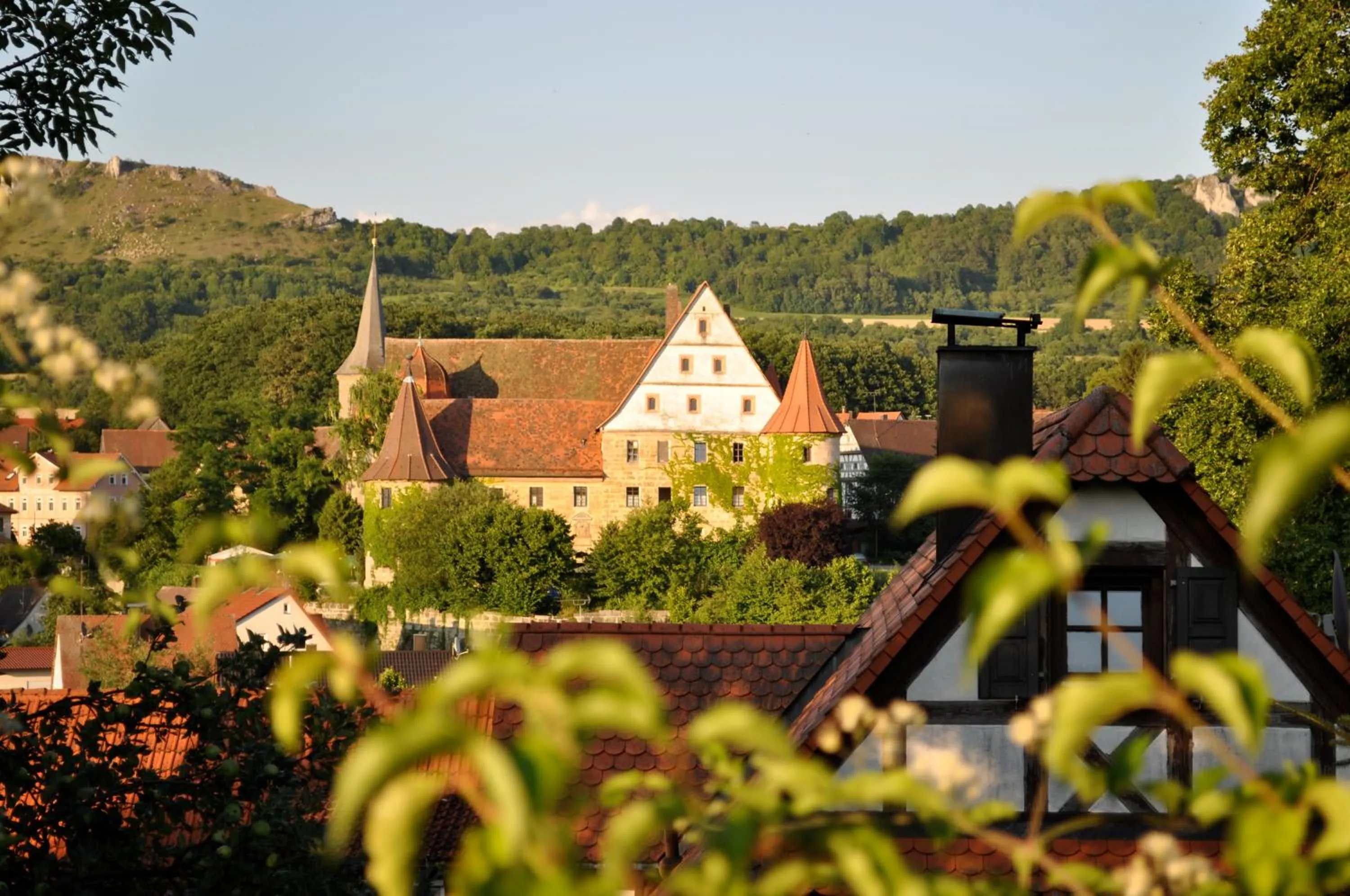 Facade/entrance in Schloss Wiesenthau