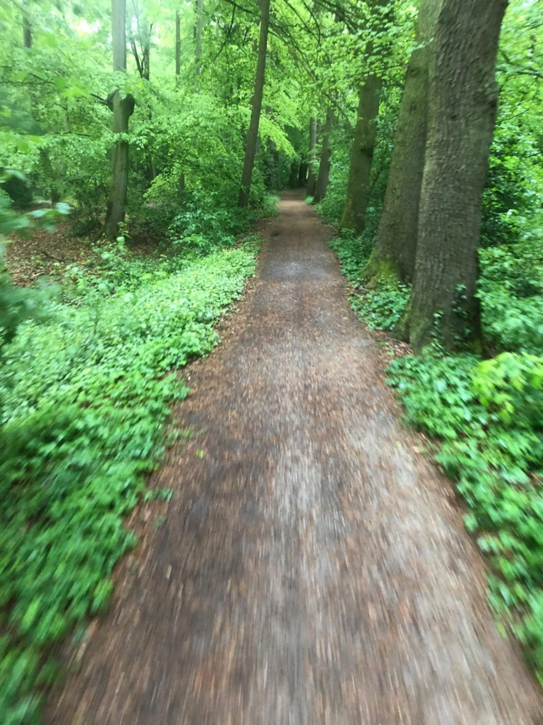 Spring in Hotel Anno 1848