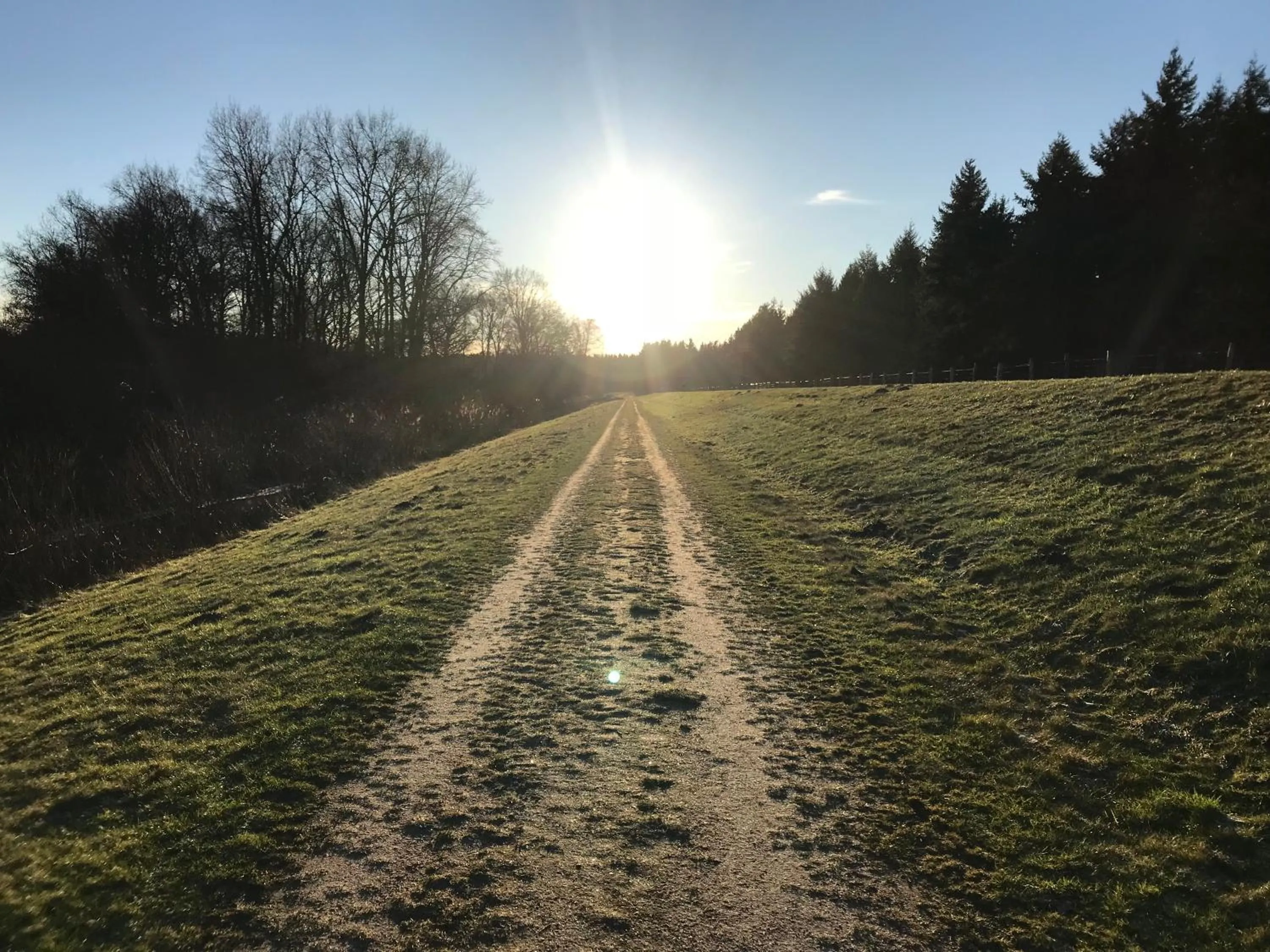 Natural landscape in Hotel Anno 1848