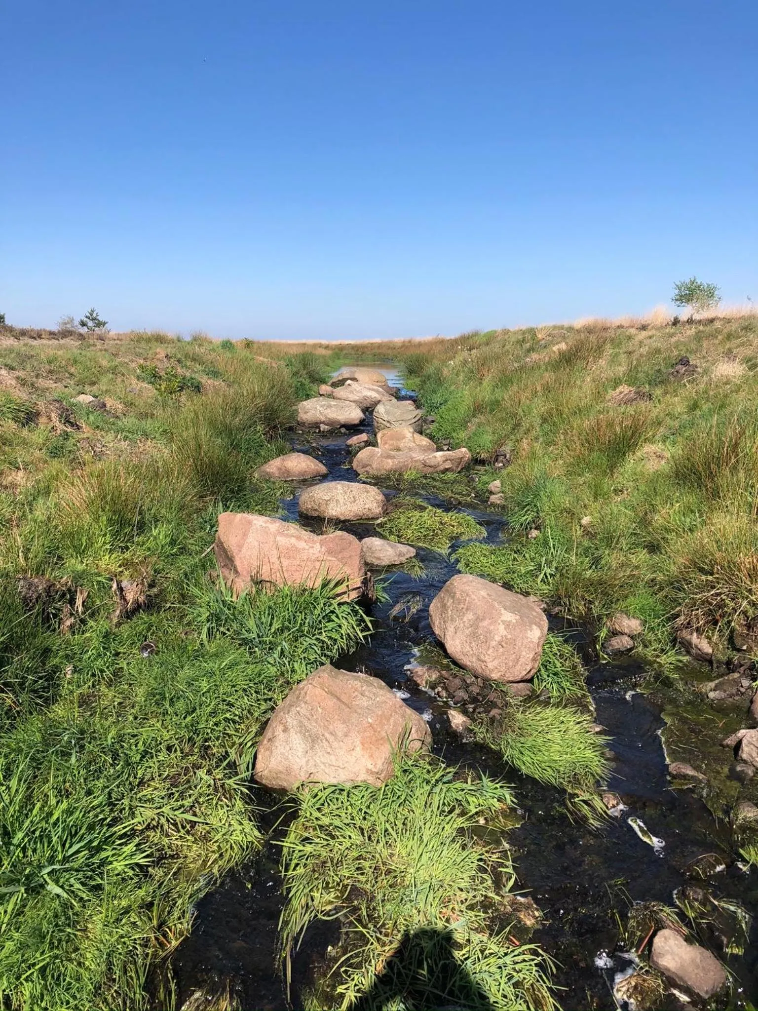 Nearby landmark in Hotel Anno 1848