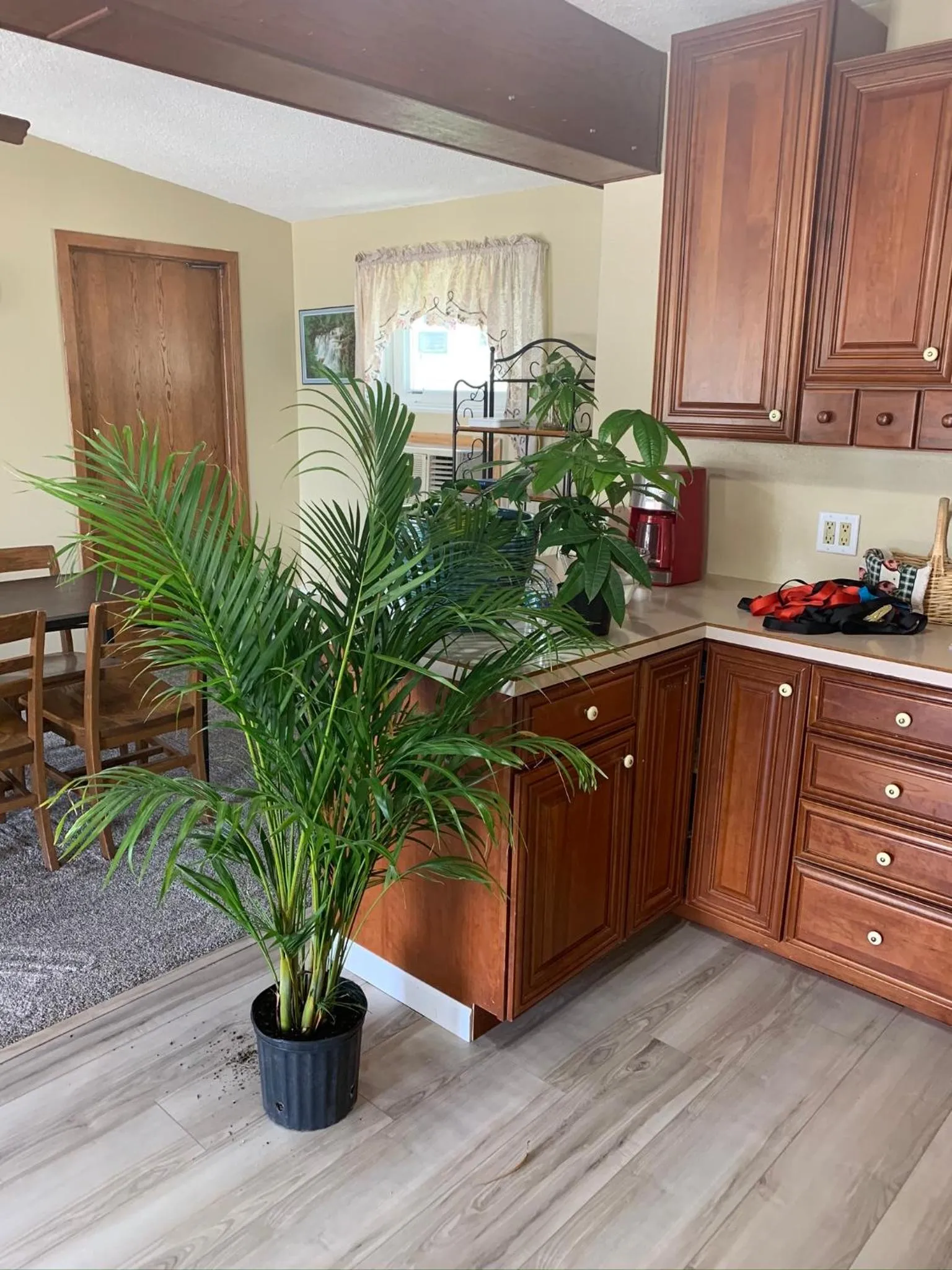 Property building in HOMETOWN INN