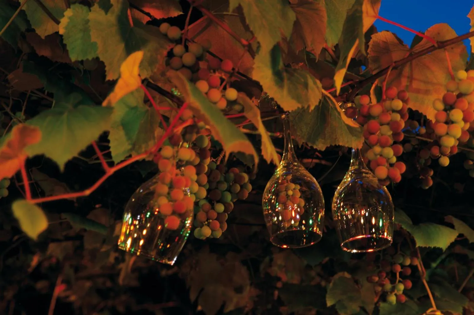 Night in Hotel und Restaurant Eurohof