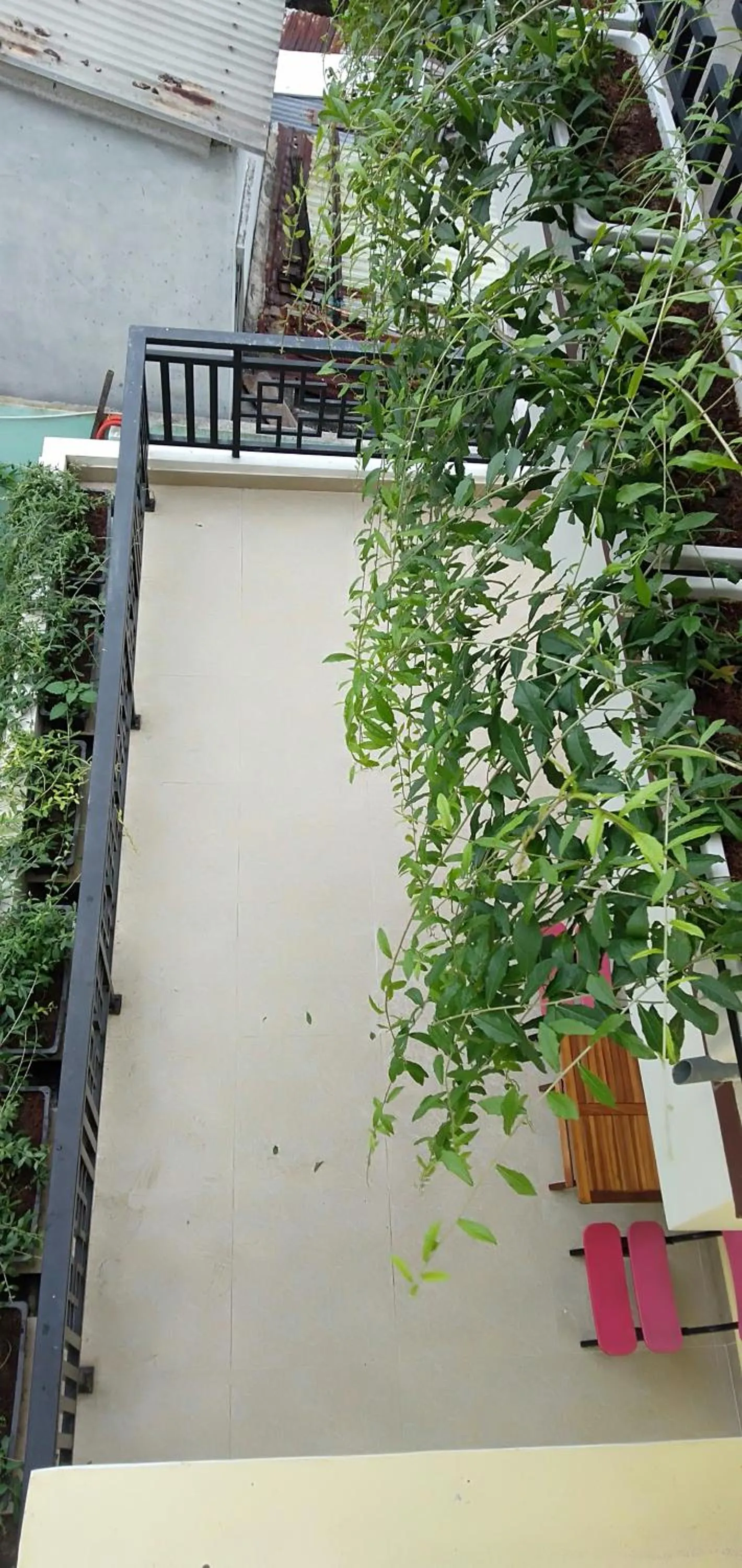 Balcony/Terrace in Hoi An New Life Homestay & Villa