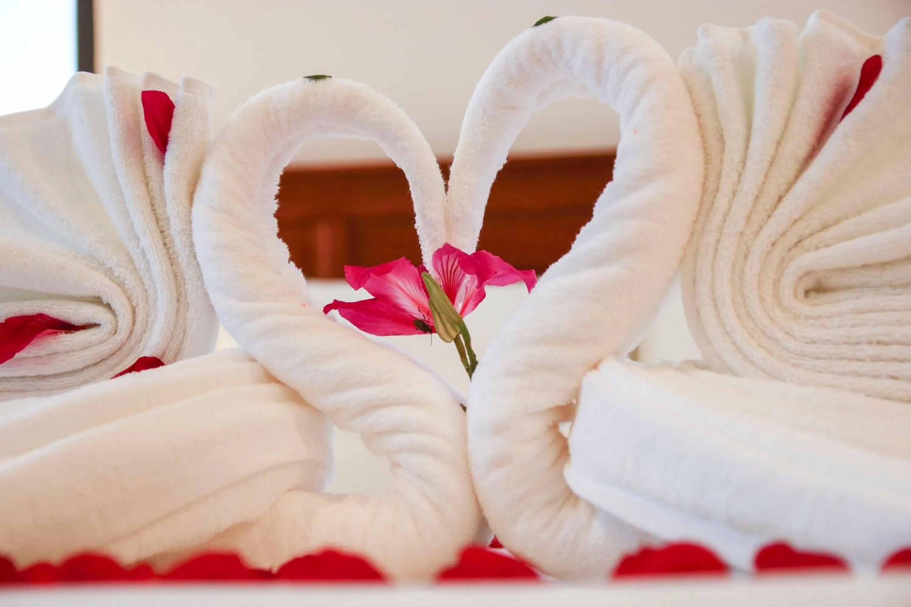 Decorative detail, Bed in Hoi An New Life Homestay & Villa