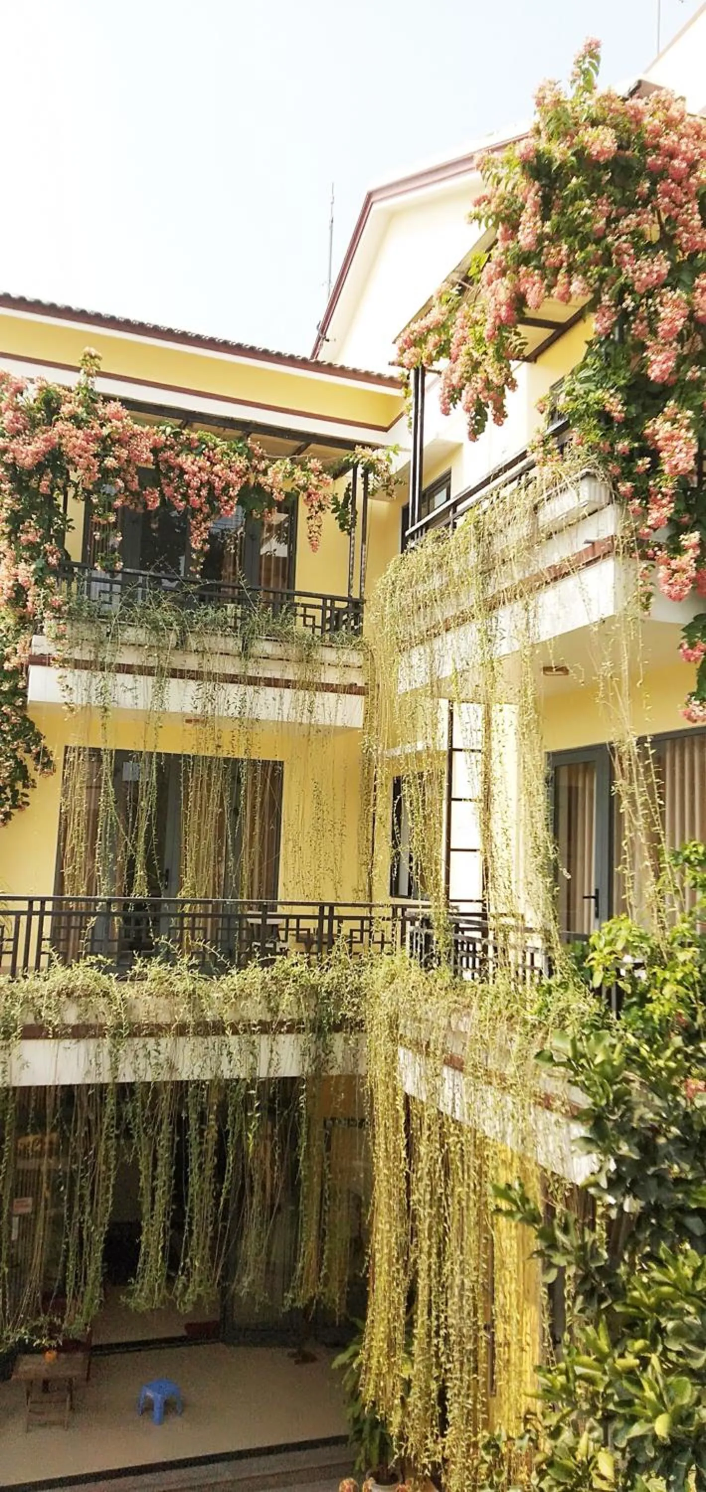 Property building in Hoi An New Life Homestay & Villa