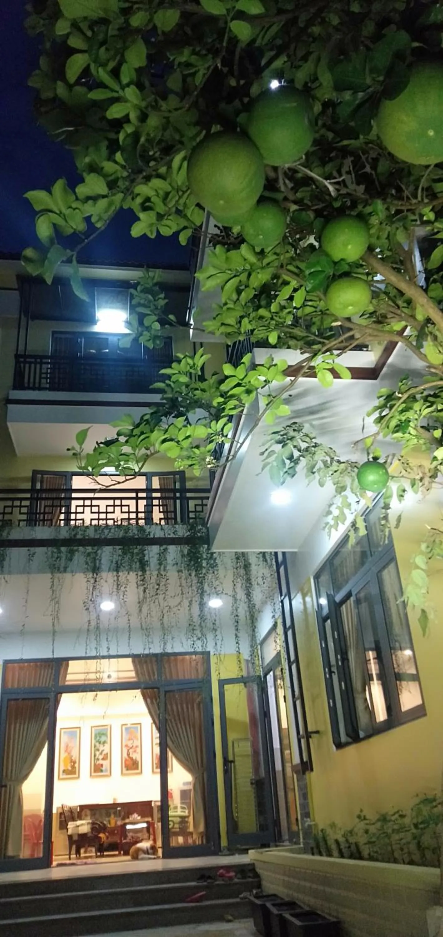 Property building in Hoi An New Life Homestay & Villa