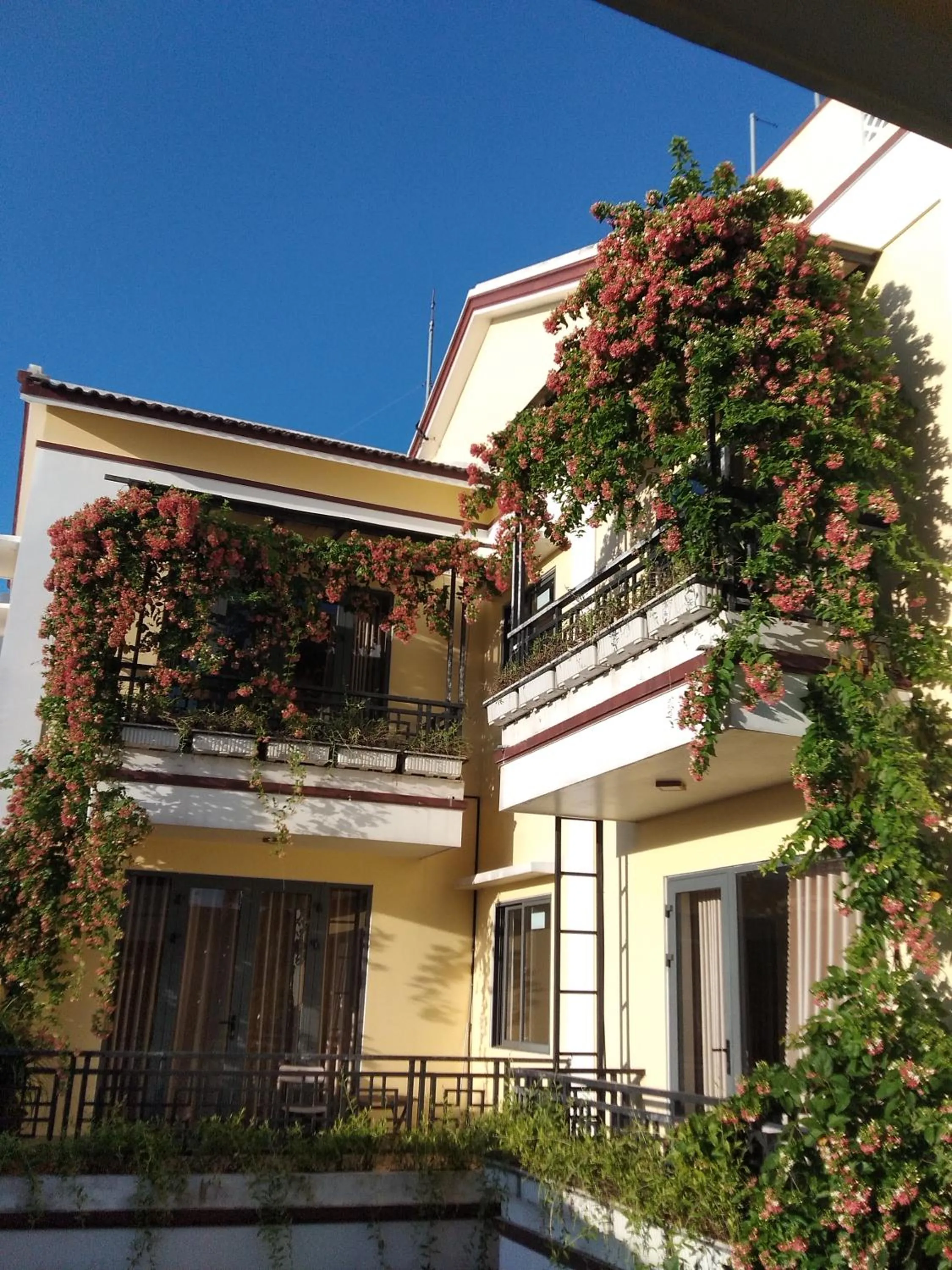 Property building in Hoi An New Life Homestay & Villa