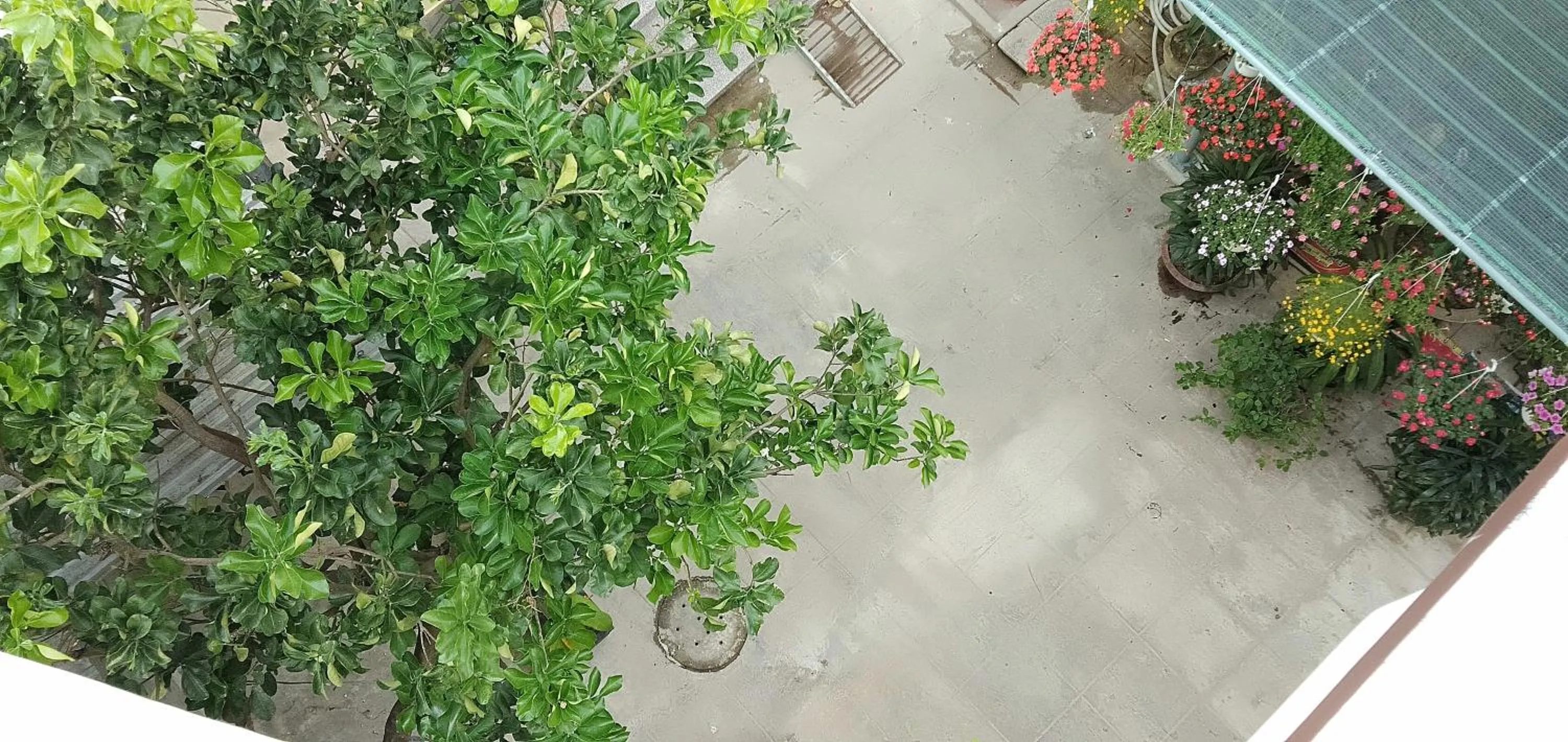 Patio in Hoi An New Life Homestay & Villa