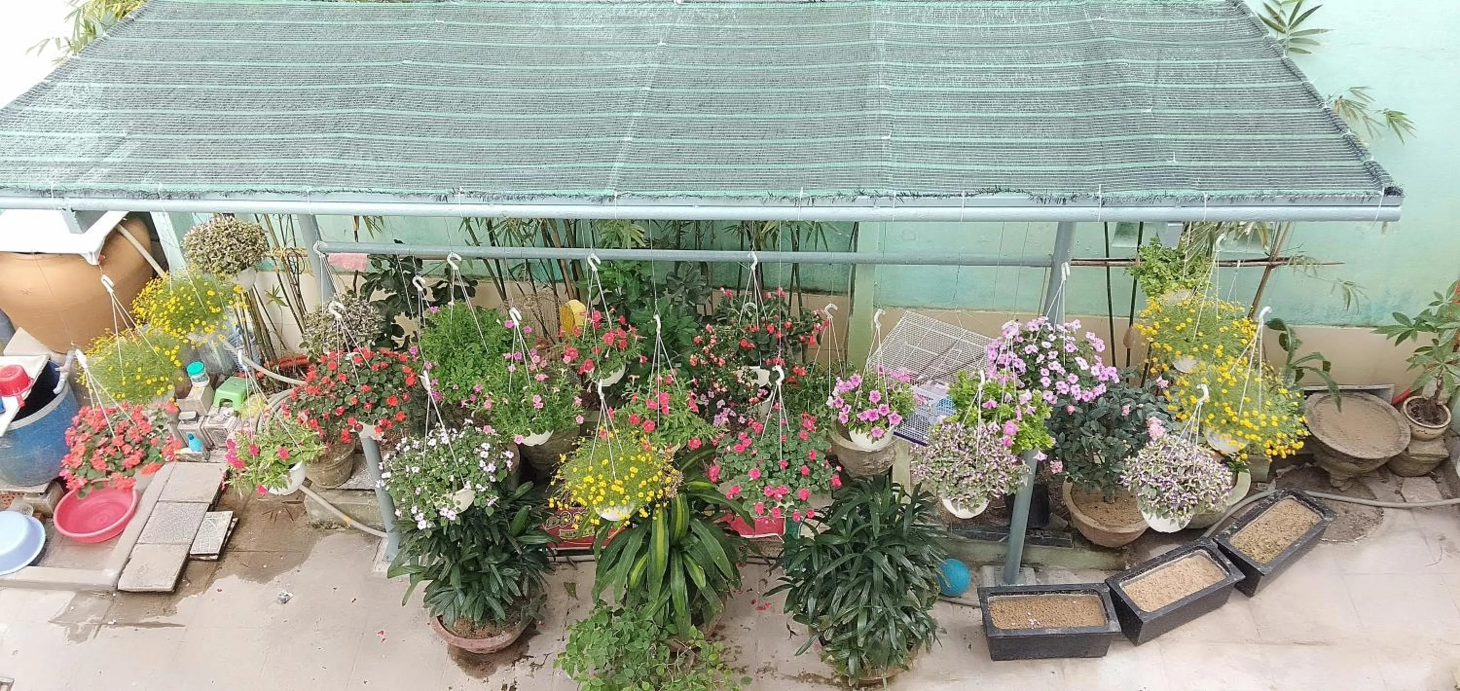 Garden in Hoi An New Life Homestay & Villa