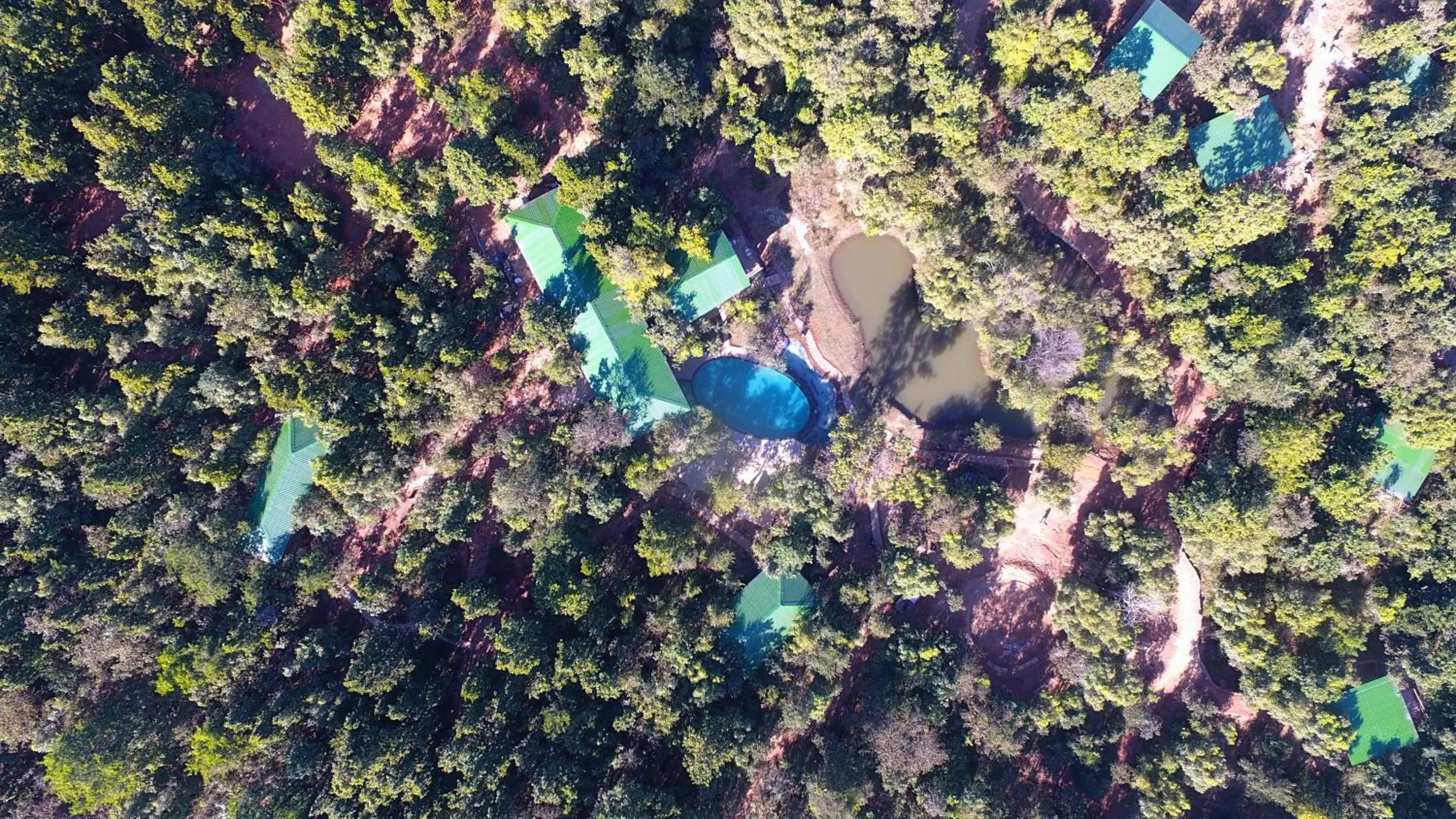 Bird's eye view in Kanha Jungle Camp