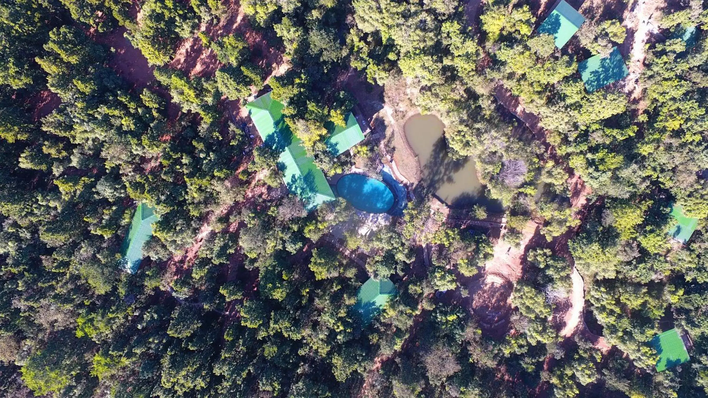 Bird's eye view in Kanha Jungle Camp Bird's eye view in Kanha Jungle Camp