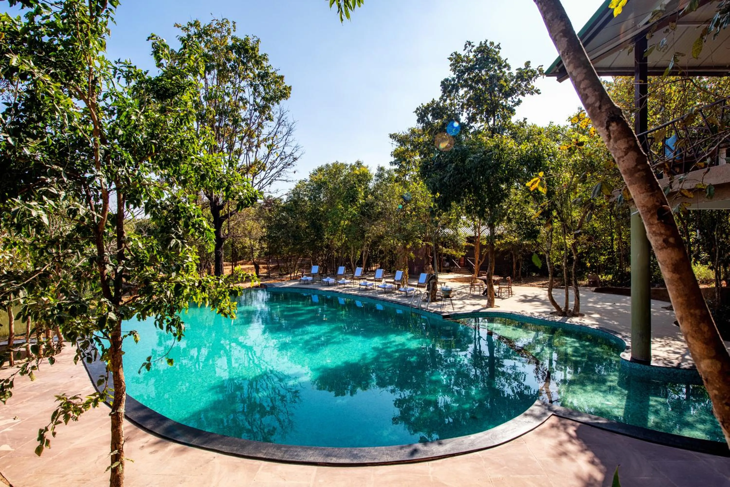 Pool view in Kanha Jungle Camp