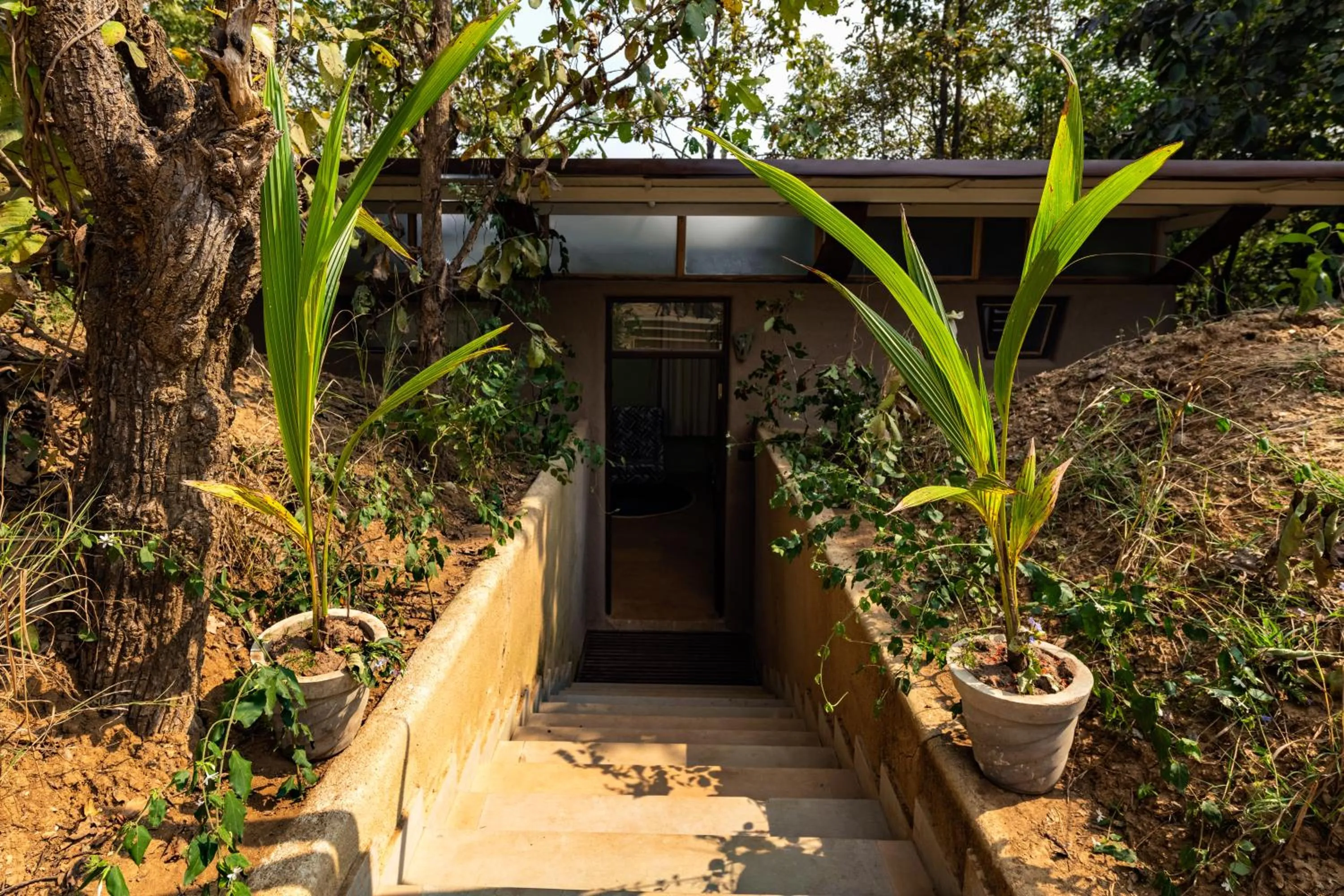 View (from property/room) in Kanha Jungle Camp