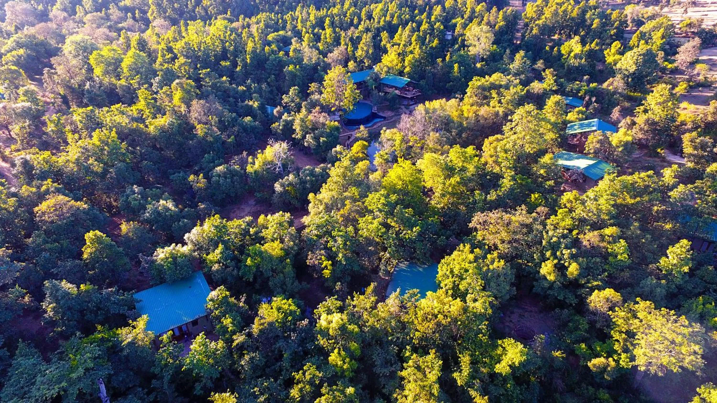 Bird's eye view in Kanha Jungle Camp