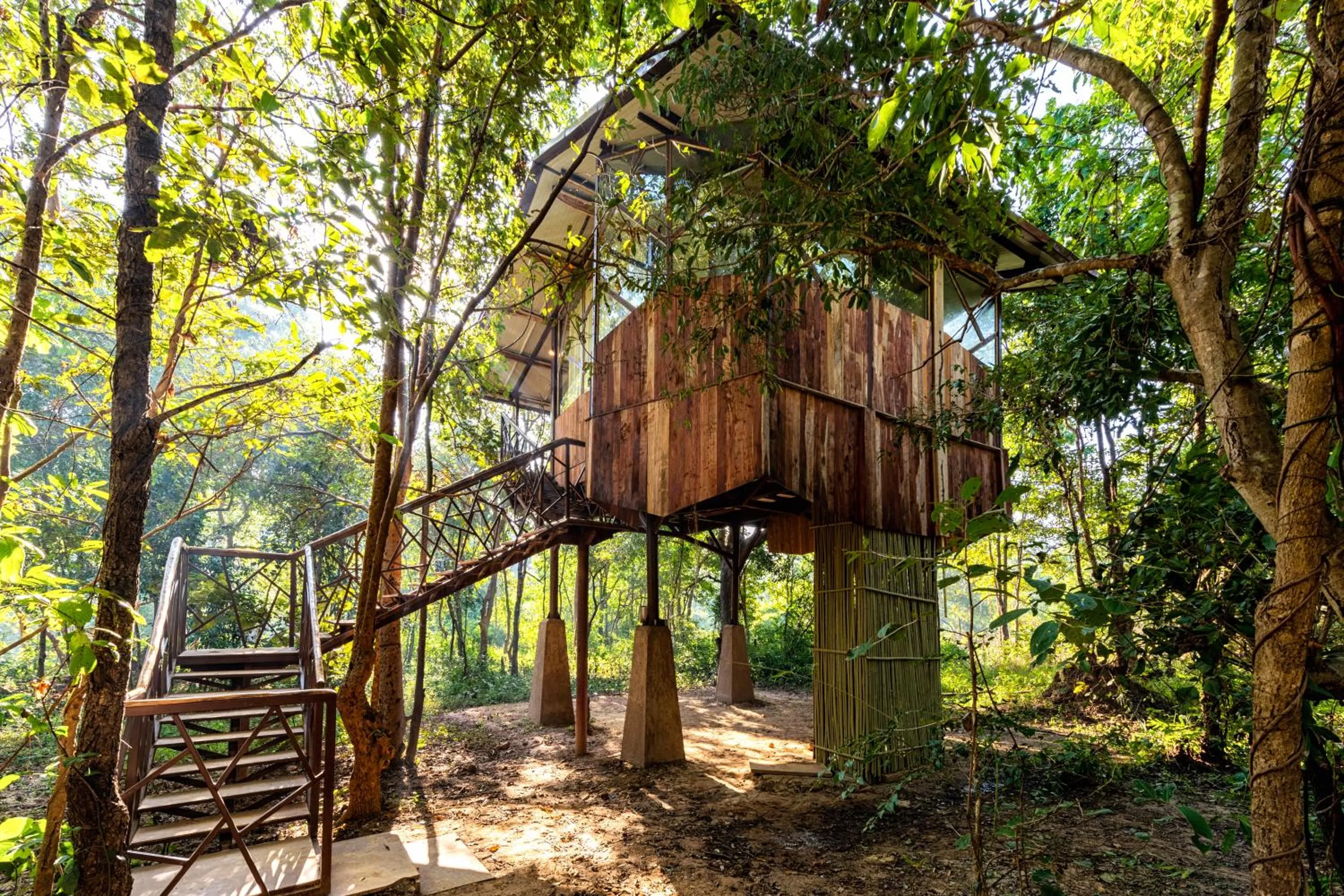 View (from property/room) in Kanha Jungle Camp