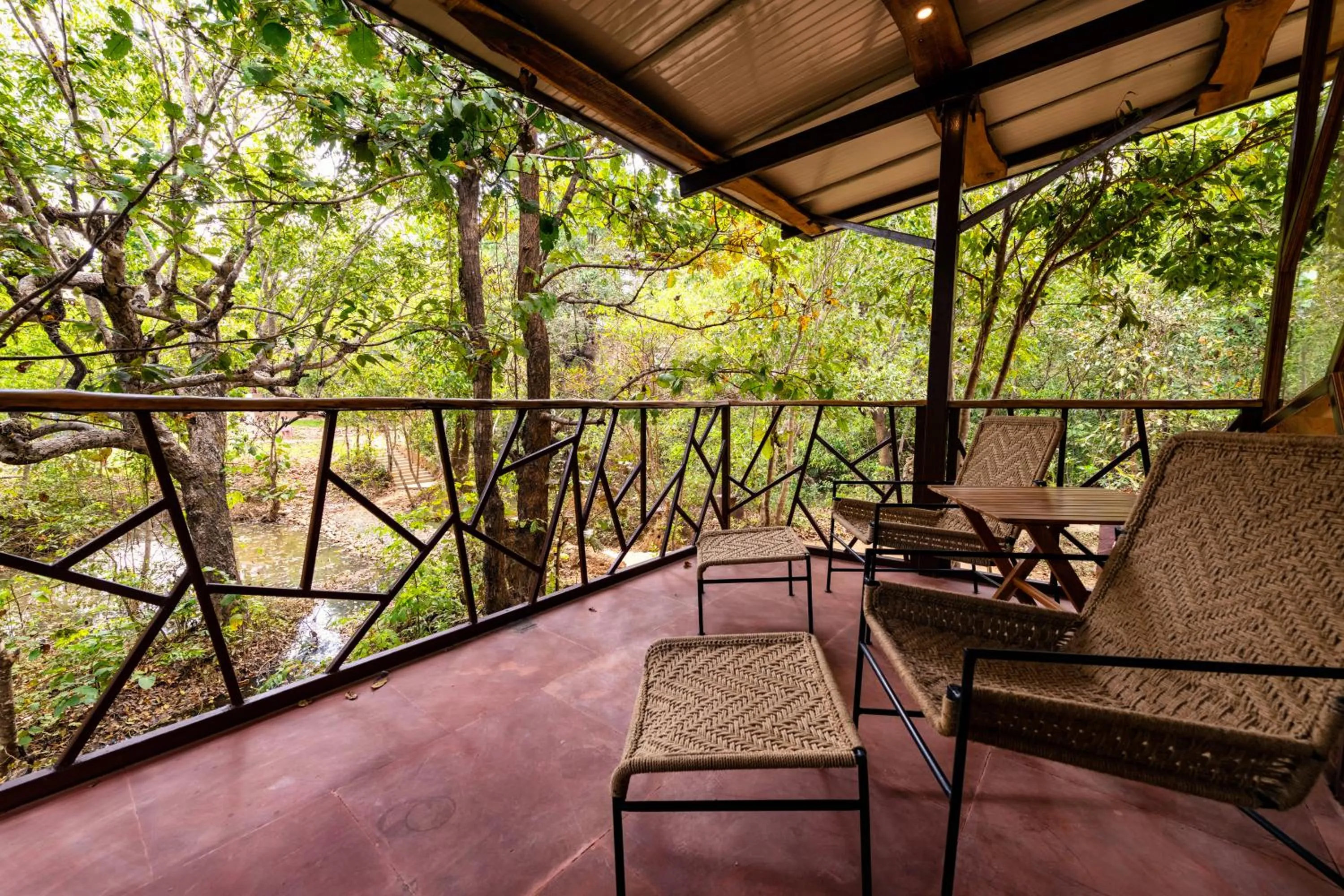 Balcony/Terrace in Kanha Jungle Camp