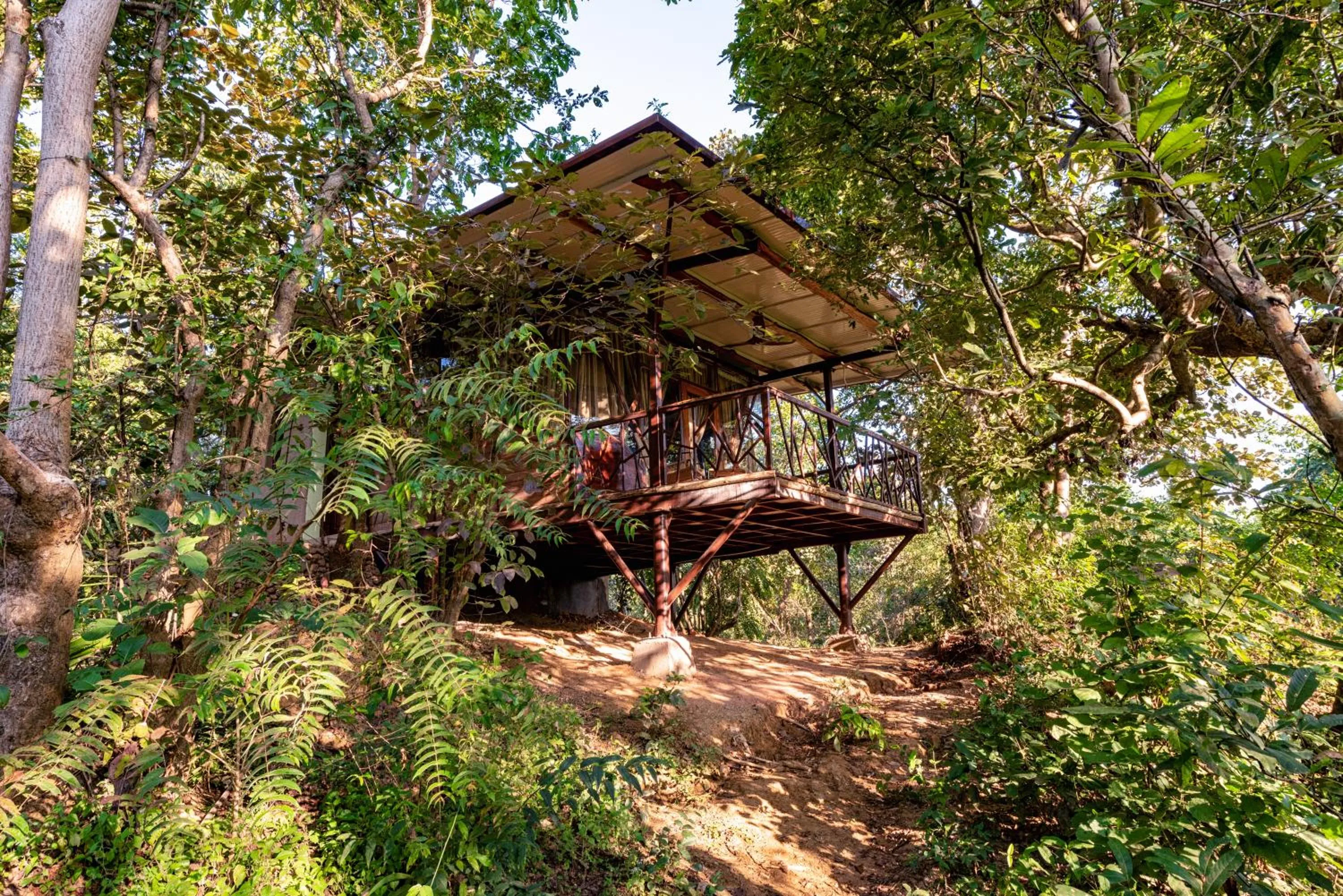 Natural landscape in Kanha Jungle Camp