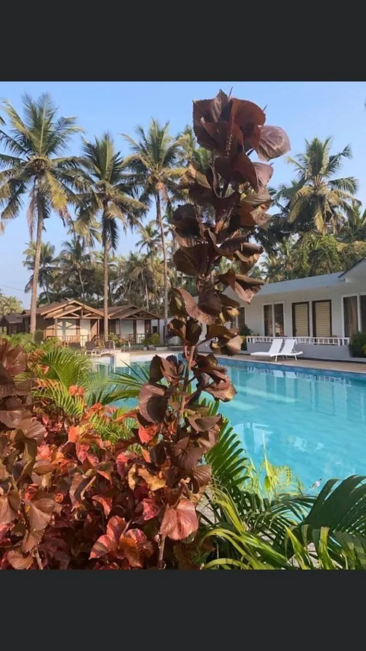 Pool view in Golden Sands Resort, Morjim